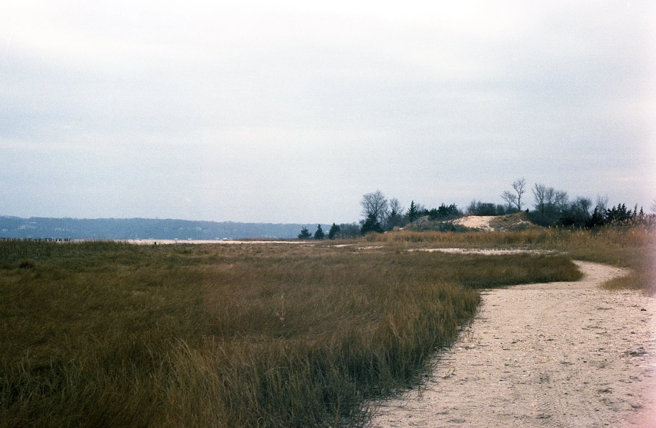 A dirt path winds through a grassy marshland with a hill covered in trees and bushes in the distance under a cloudy sky.