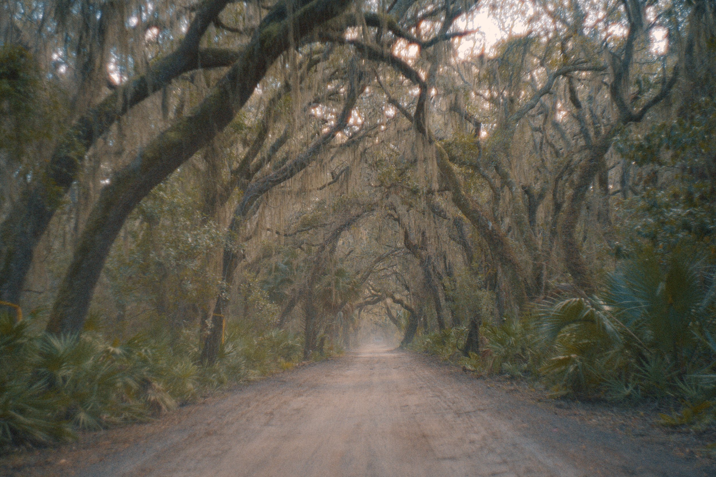  Cumberland Island, travel photograhy 
