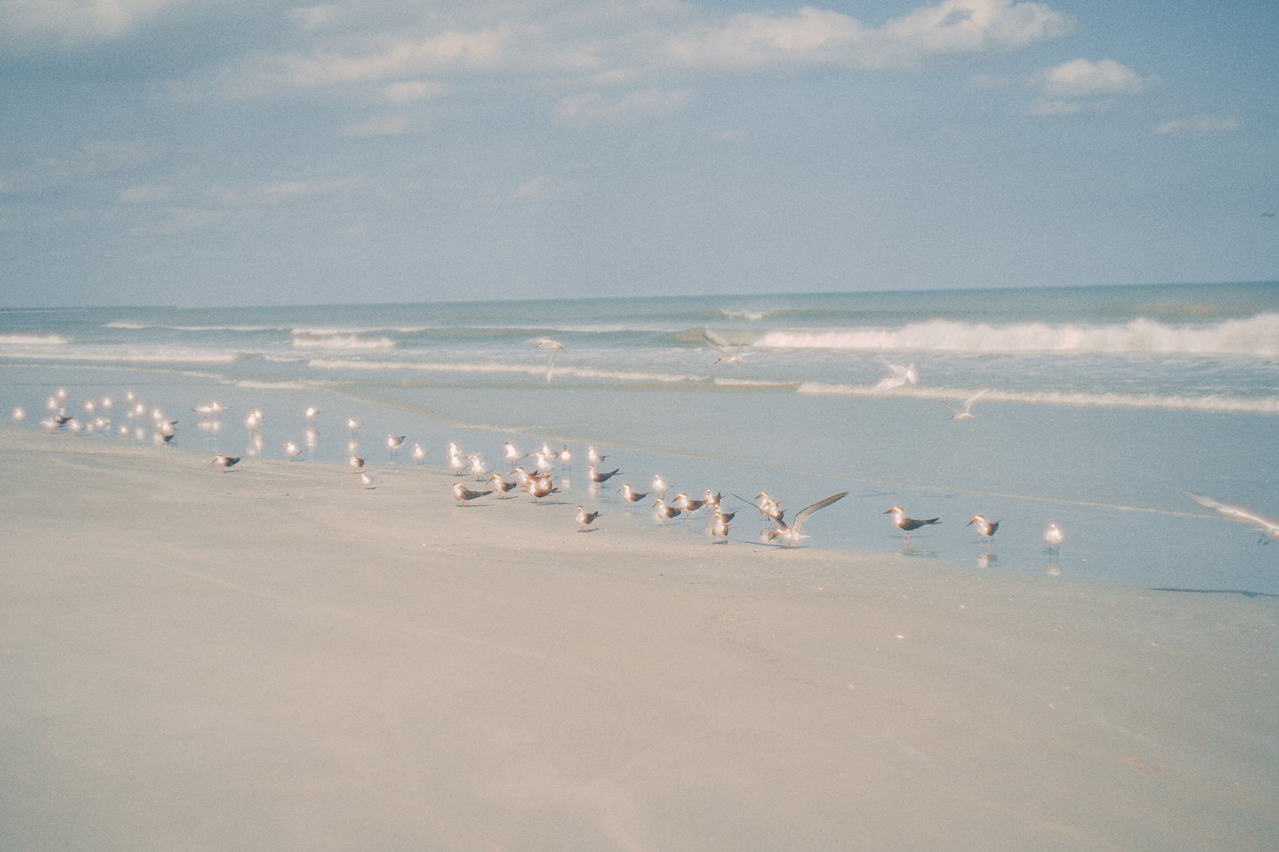  Cumberland Island, travel photograhy 