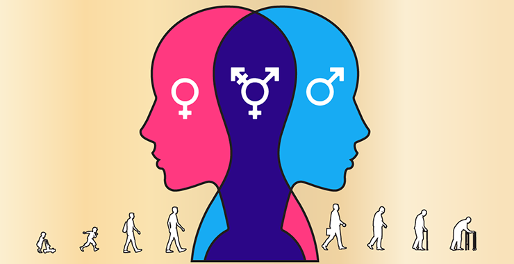An outline of people to illustrate three sexualities