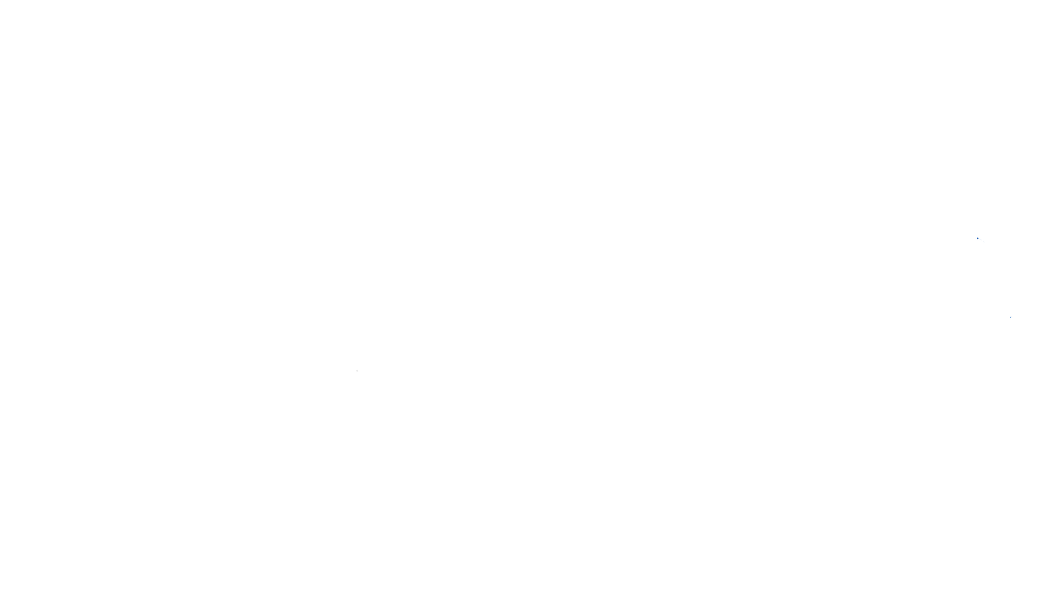 Duplin Pro Wash