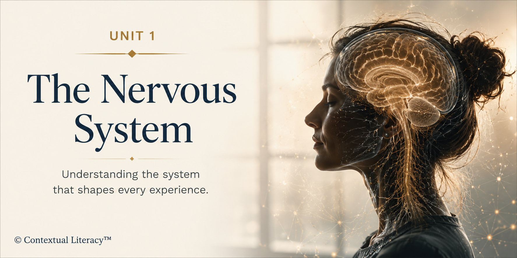 Lost in Translation™ Unit One:The Nervous System exploring nervous system, regulation, dysregulation, co-regulation, window of tolerance, Polyvagal Theory, and Polyvagal Ladder, Integration and the brain-body loop.