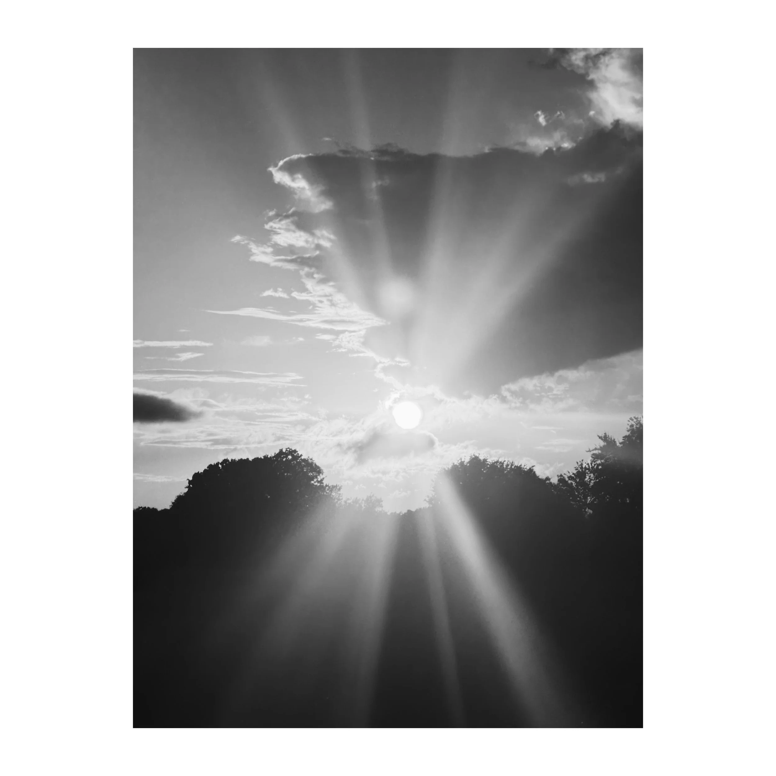 Love these set of photos I took. iPhone 16 pro max snapping 📷🤳🏿

#iphonephotography #iphonephotooftheday #blackandwhitephotography #vsco @vsco