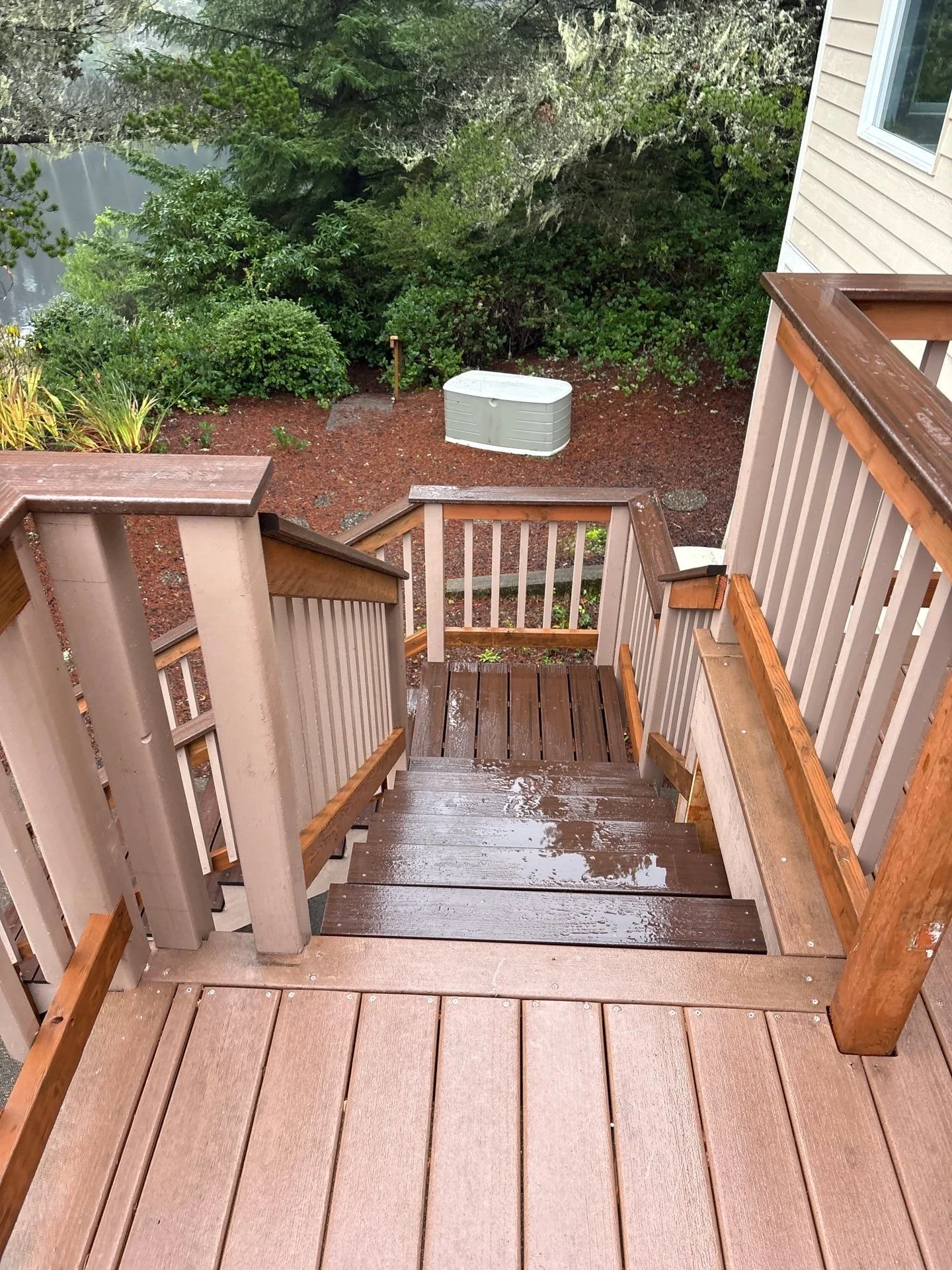 Wooden outdoor staircase leading down to a backyard with green trees and bushes, wet from recent rain, and a white storage shed on reddish mulch ground.