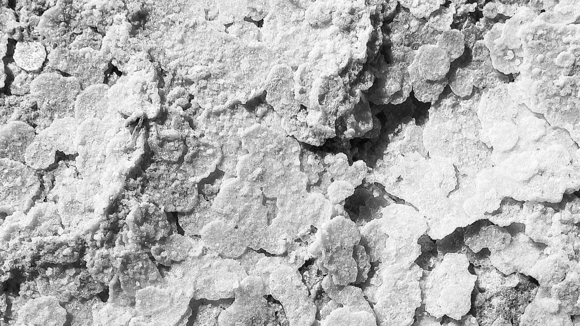 The Recovery Environment: Protect Your “Salt”