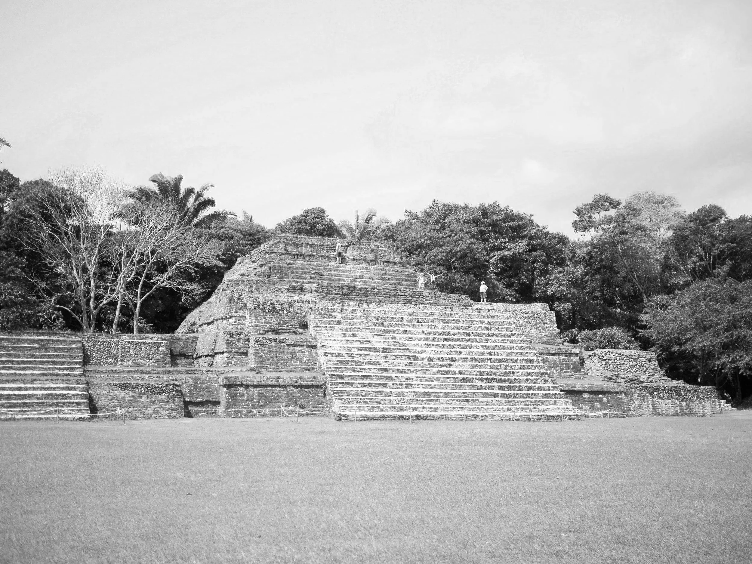 Ancient stepped pyramid surrounded by trees, with a grassy foreground, in black and white.