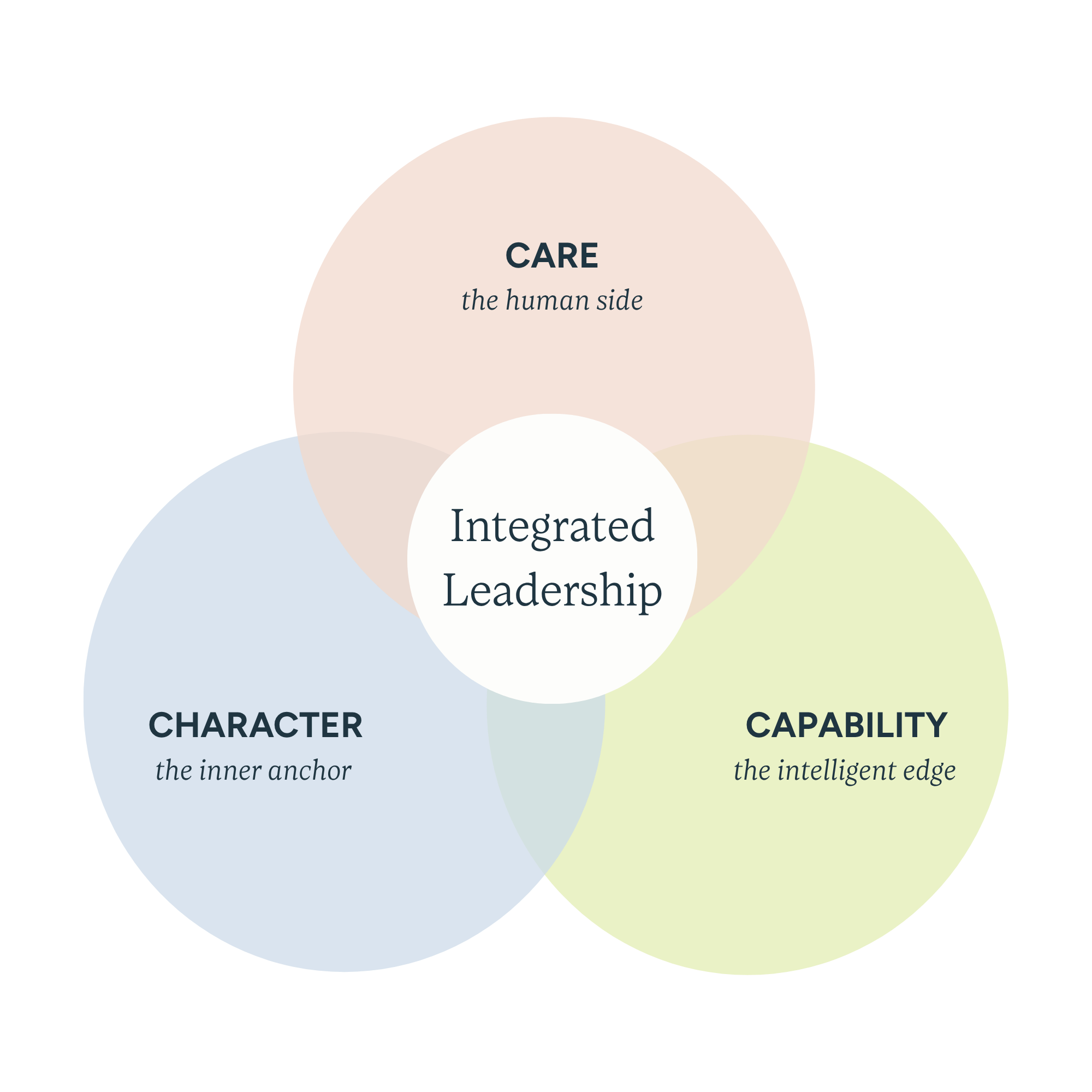 Integrated Leadership | Kate Snowise