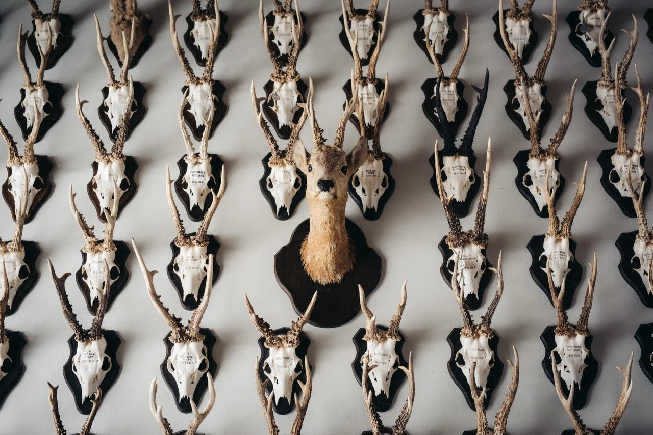 AWM_1153 – stor.jpeg