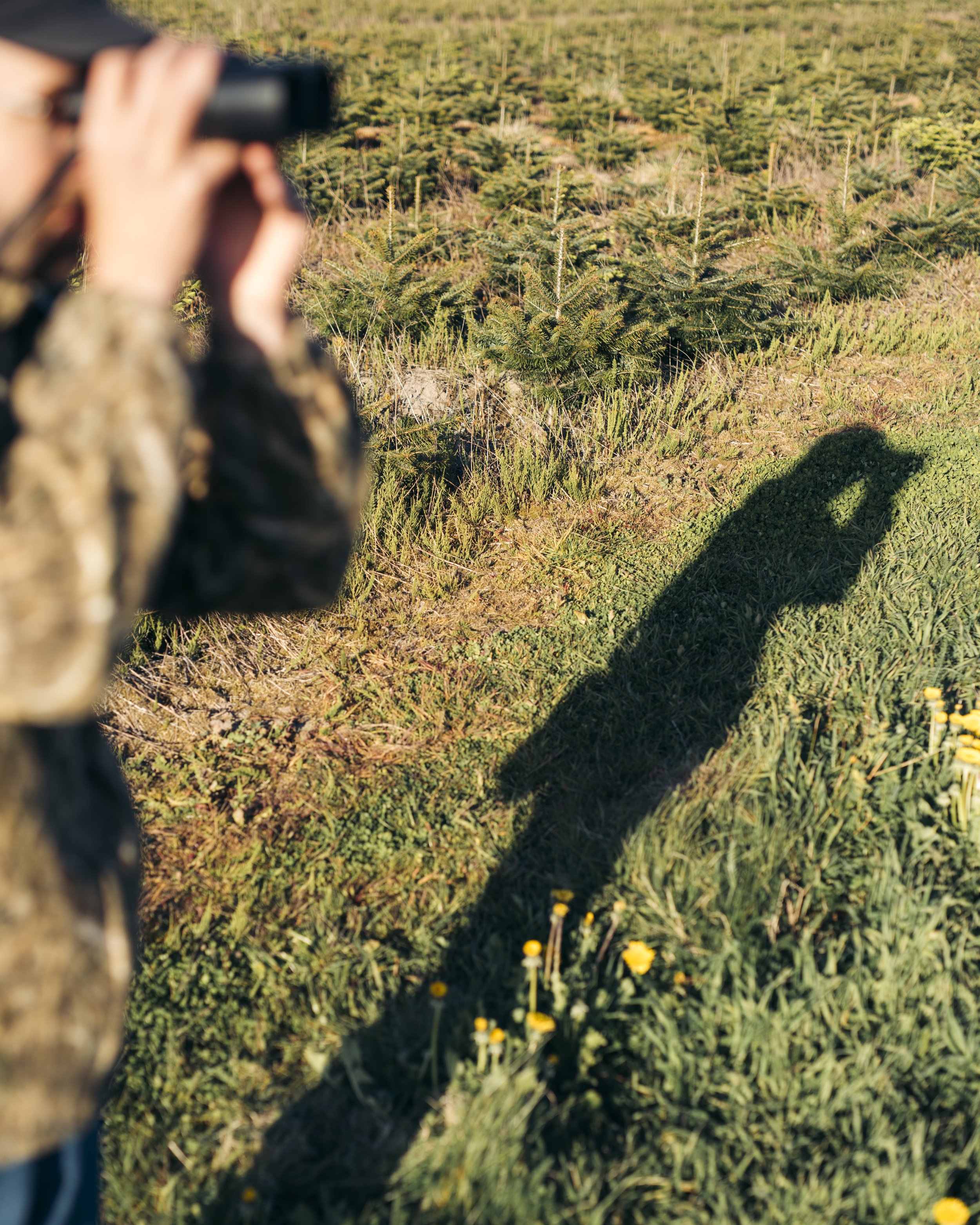 AWM_5497-2.jpg