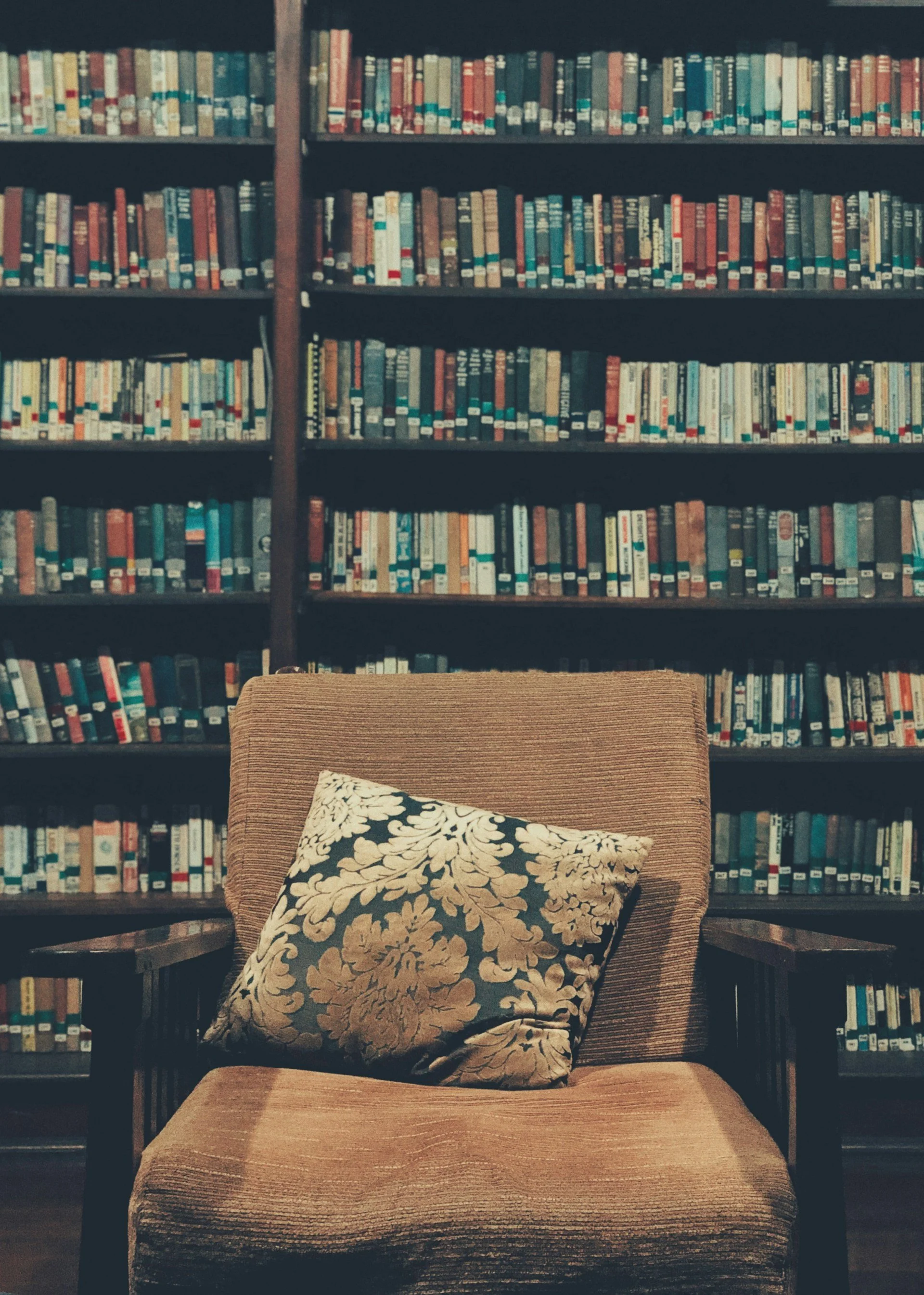 AN INTERVIEW WITH FELLOW AUTHOR DEBORAH KALB ABOUT MY NOVEL, LOSS OF LIFE
