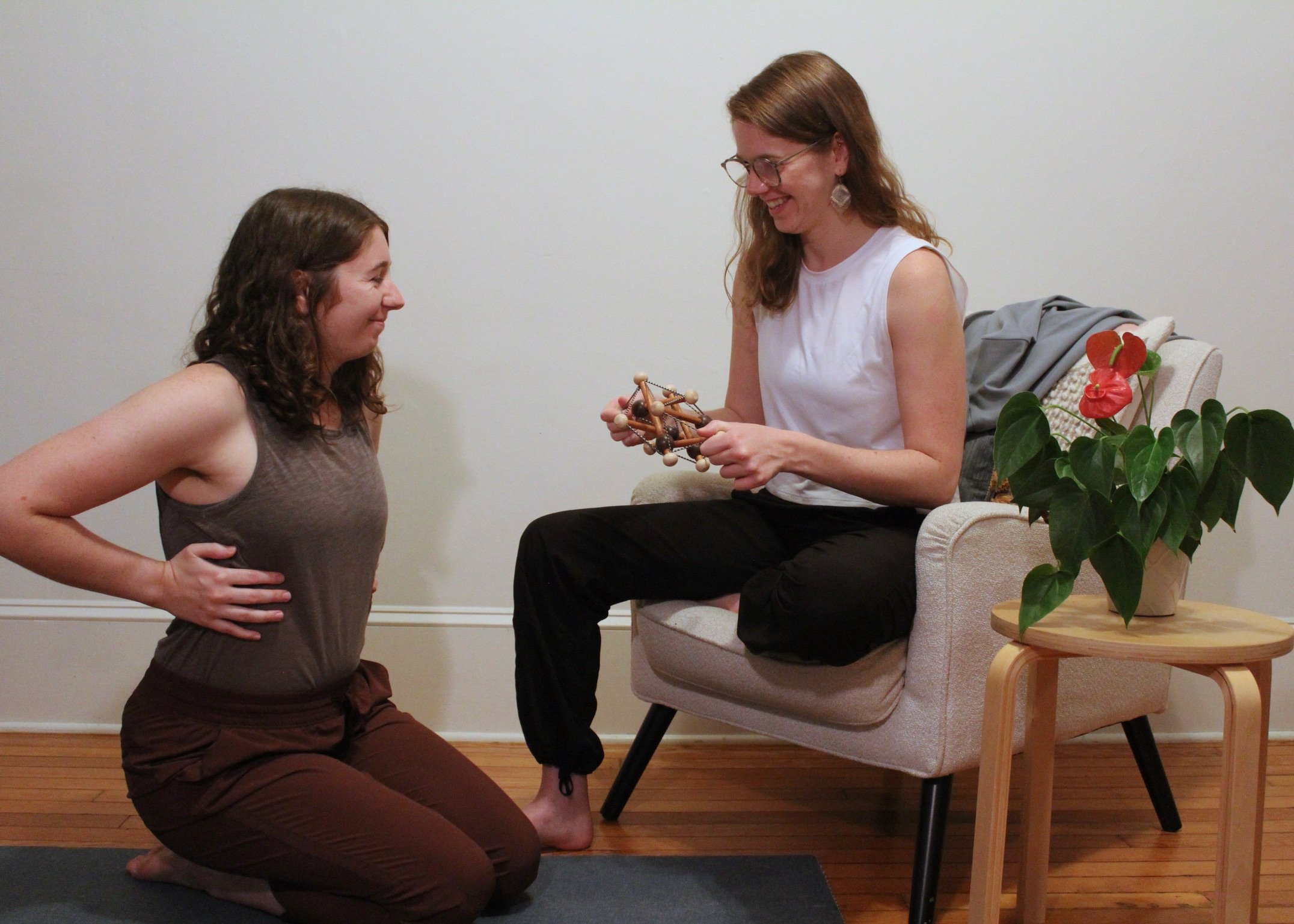 Enchanting our Anatomy