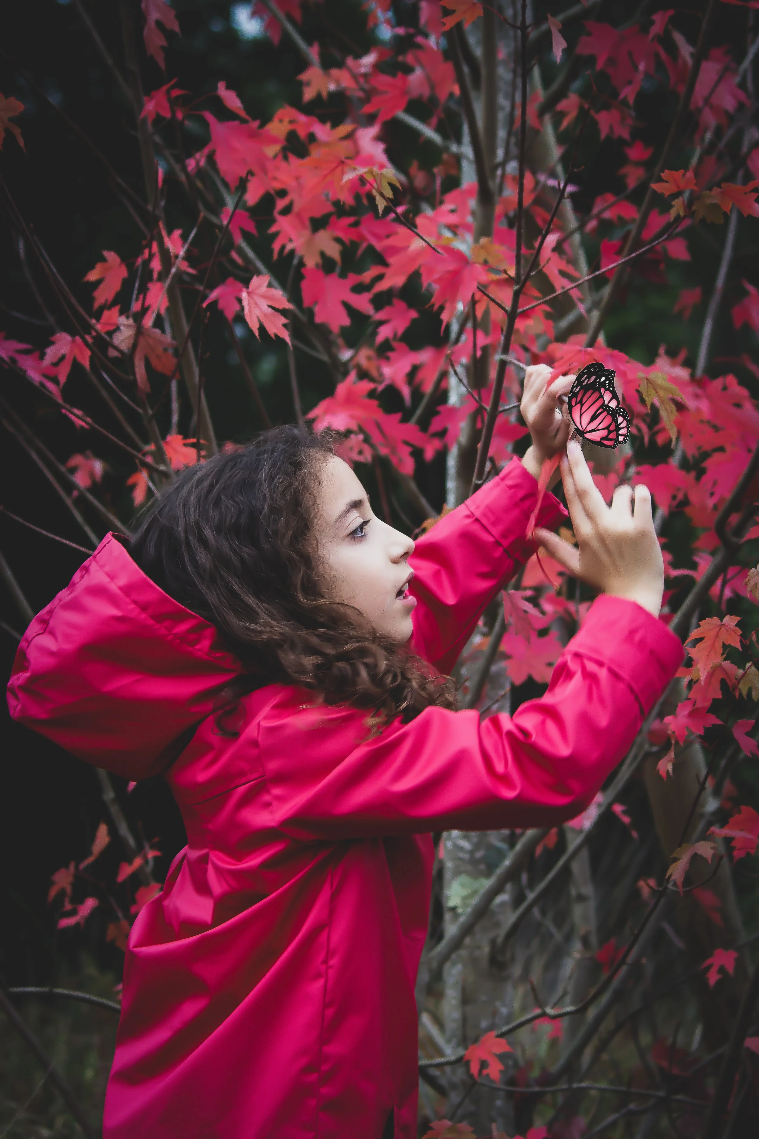 margot papillon lightroom recadrée.jpg
