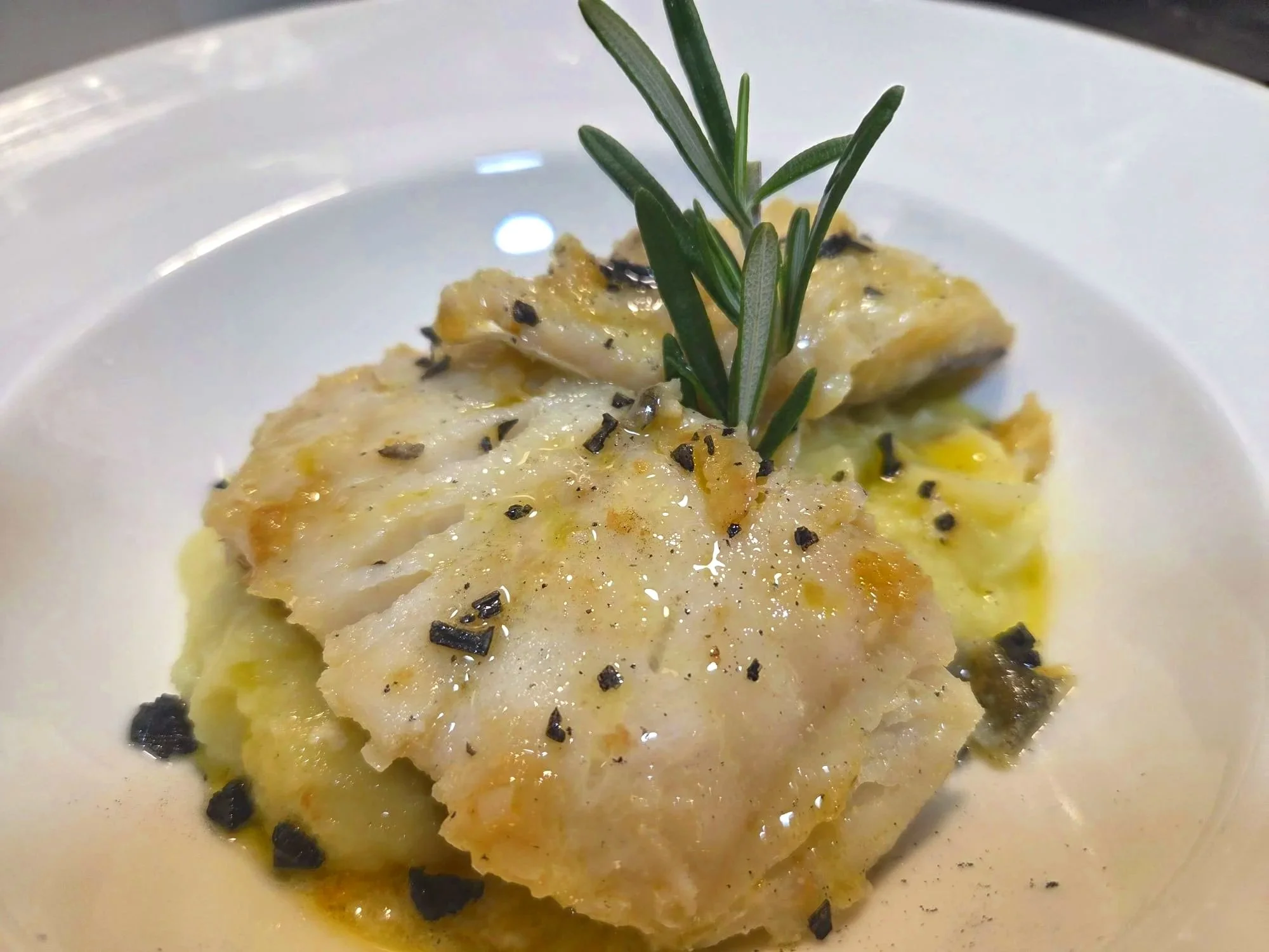 BACALAO+3.jpg