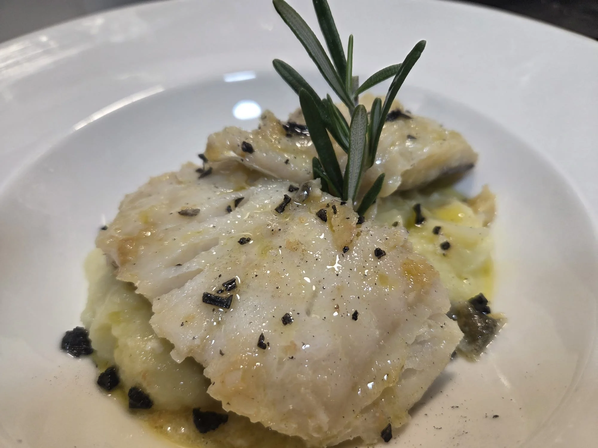 Bacalao