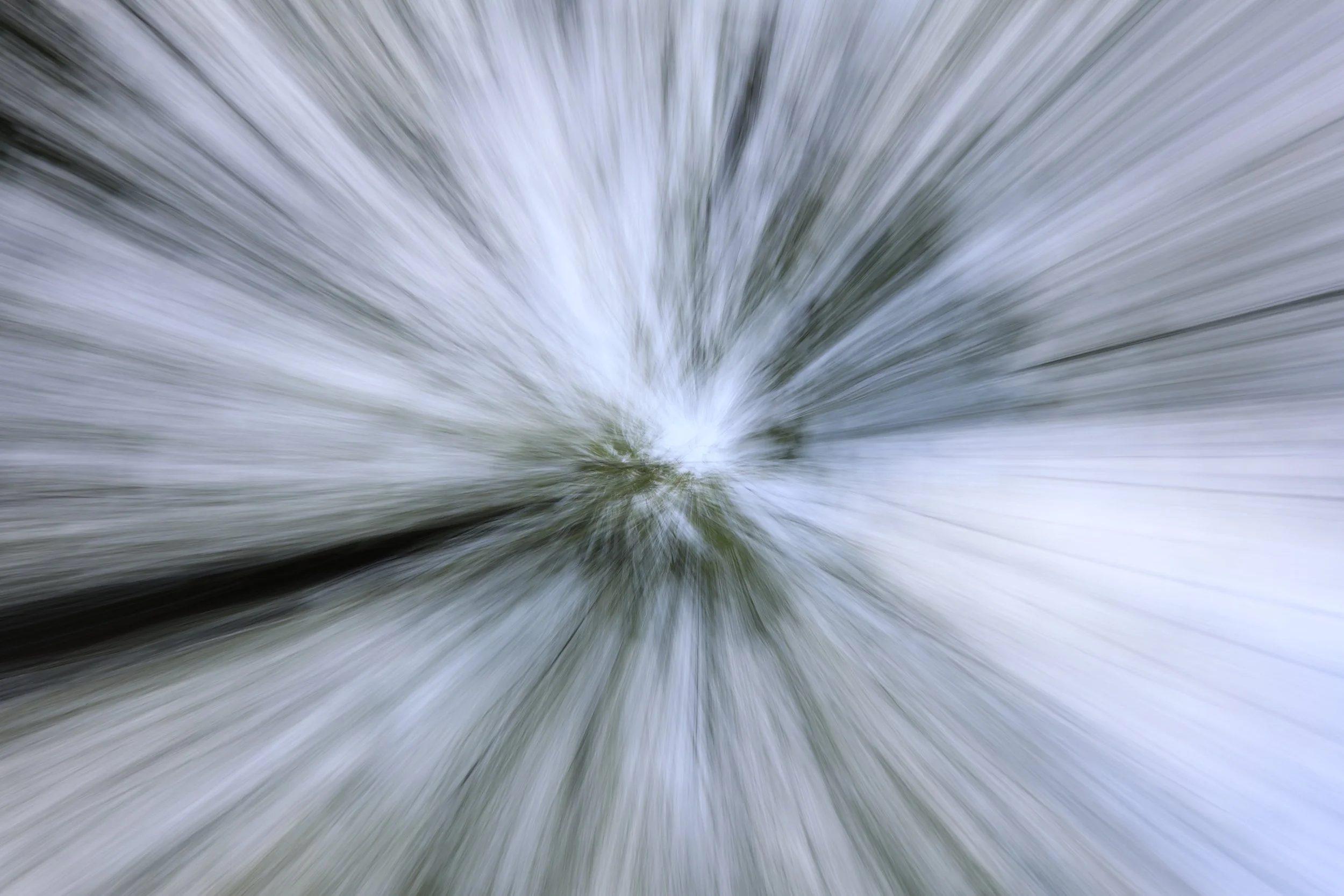 9M2A9091 creme web.jpeg