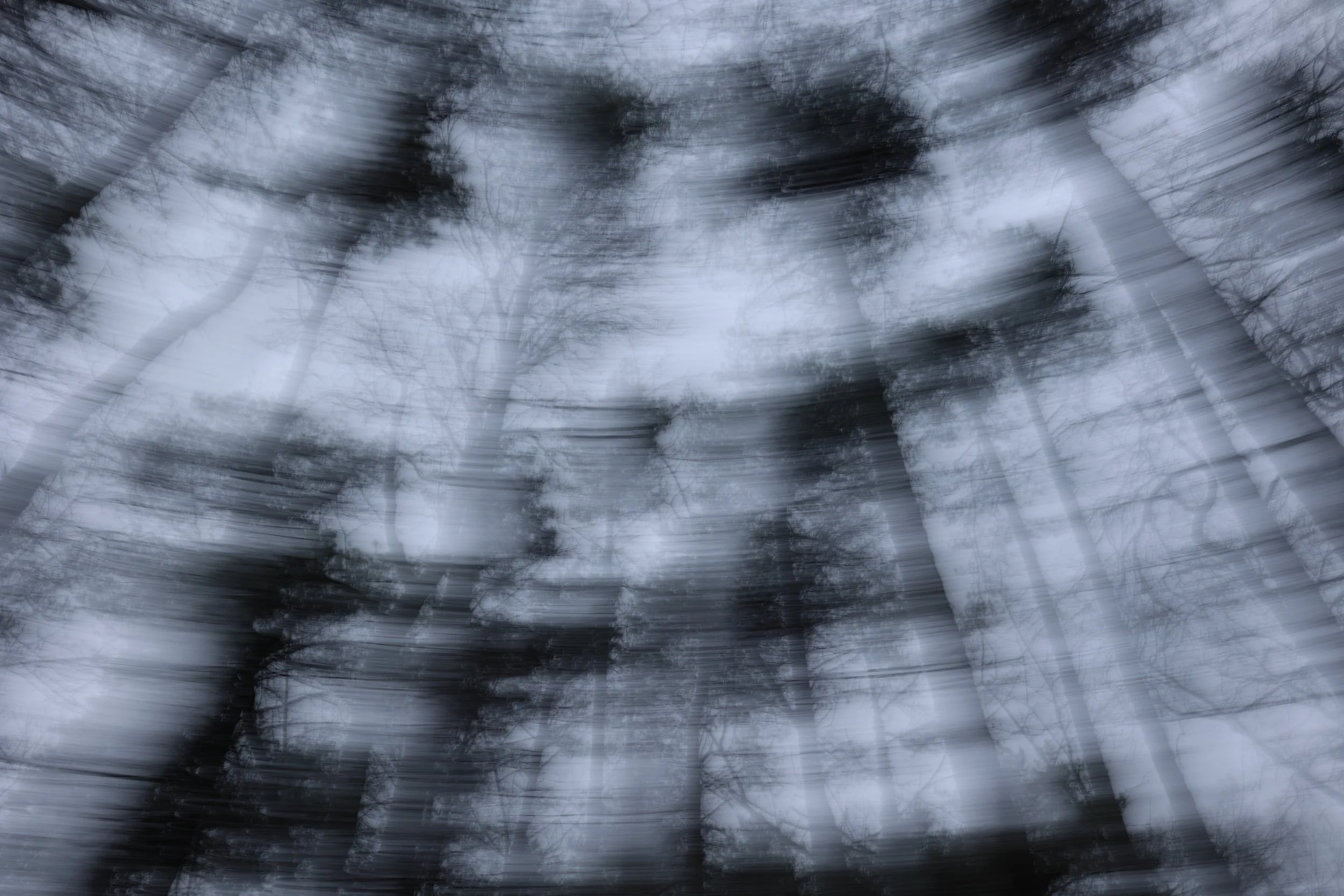 9M2D0434 merit web.jpeg