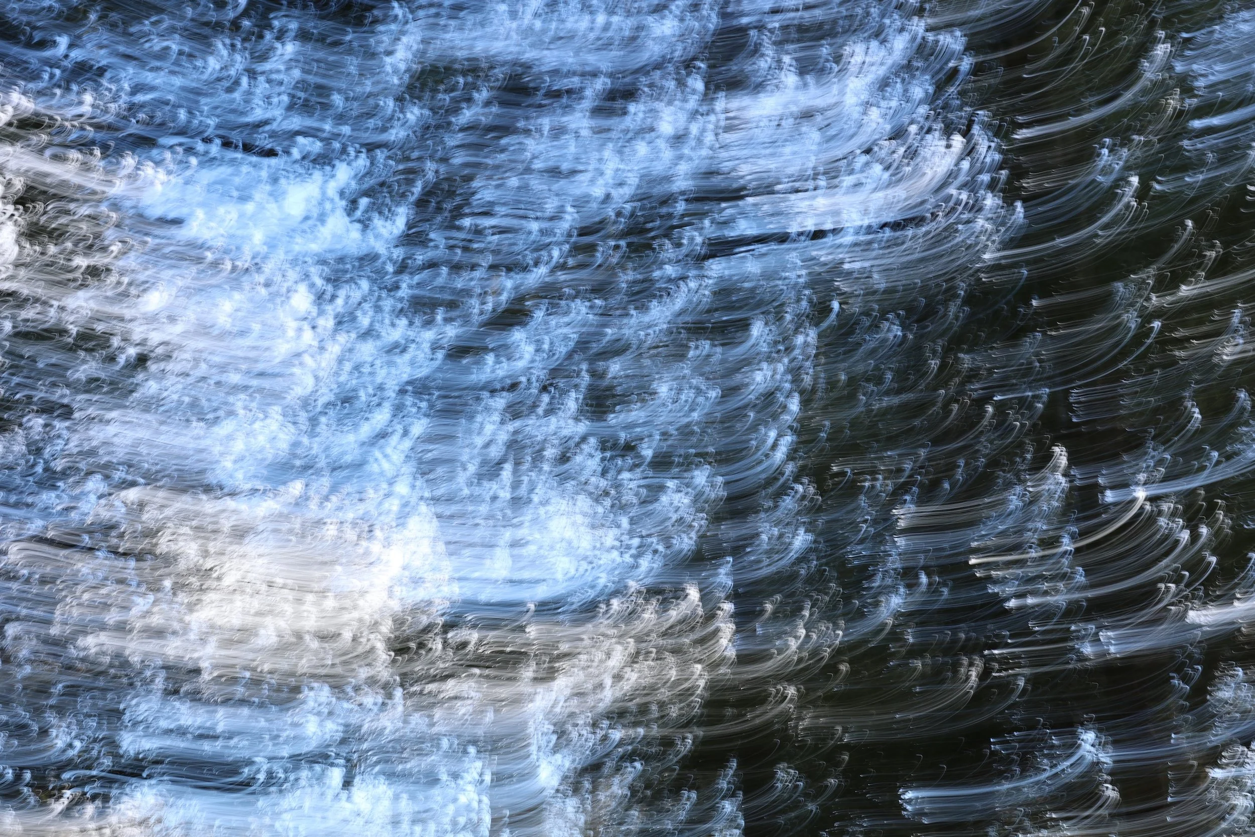 9M2D2469 merit web.jpeg