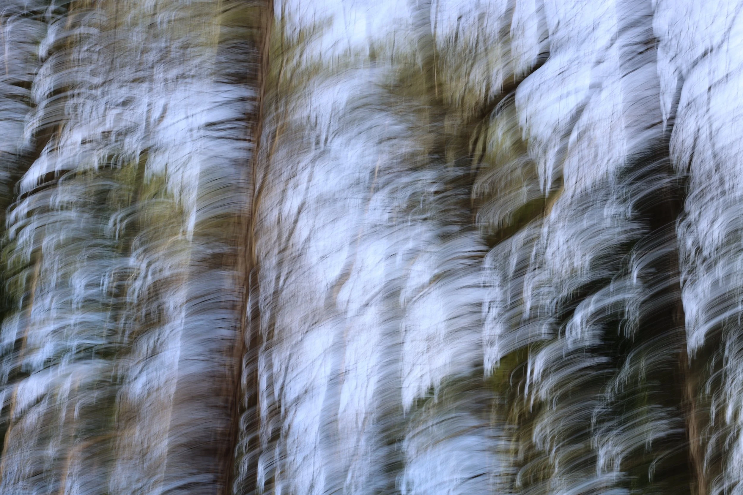 9M2D3406 merit web.jpeg