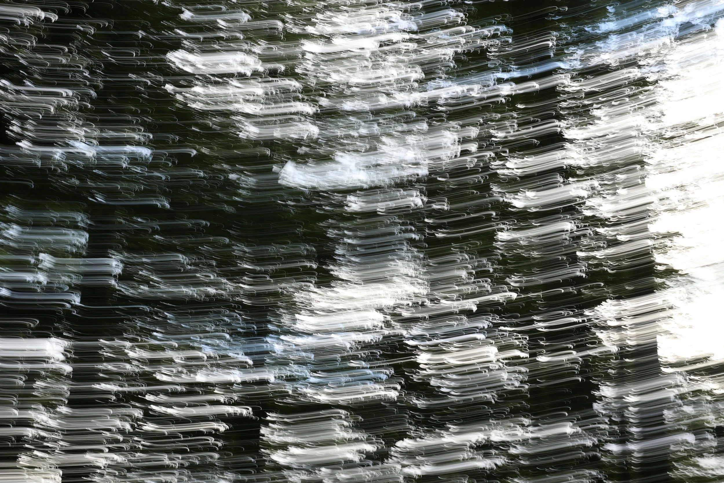 9M2A8322 creme web.jpeg