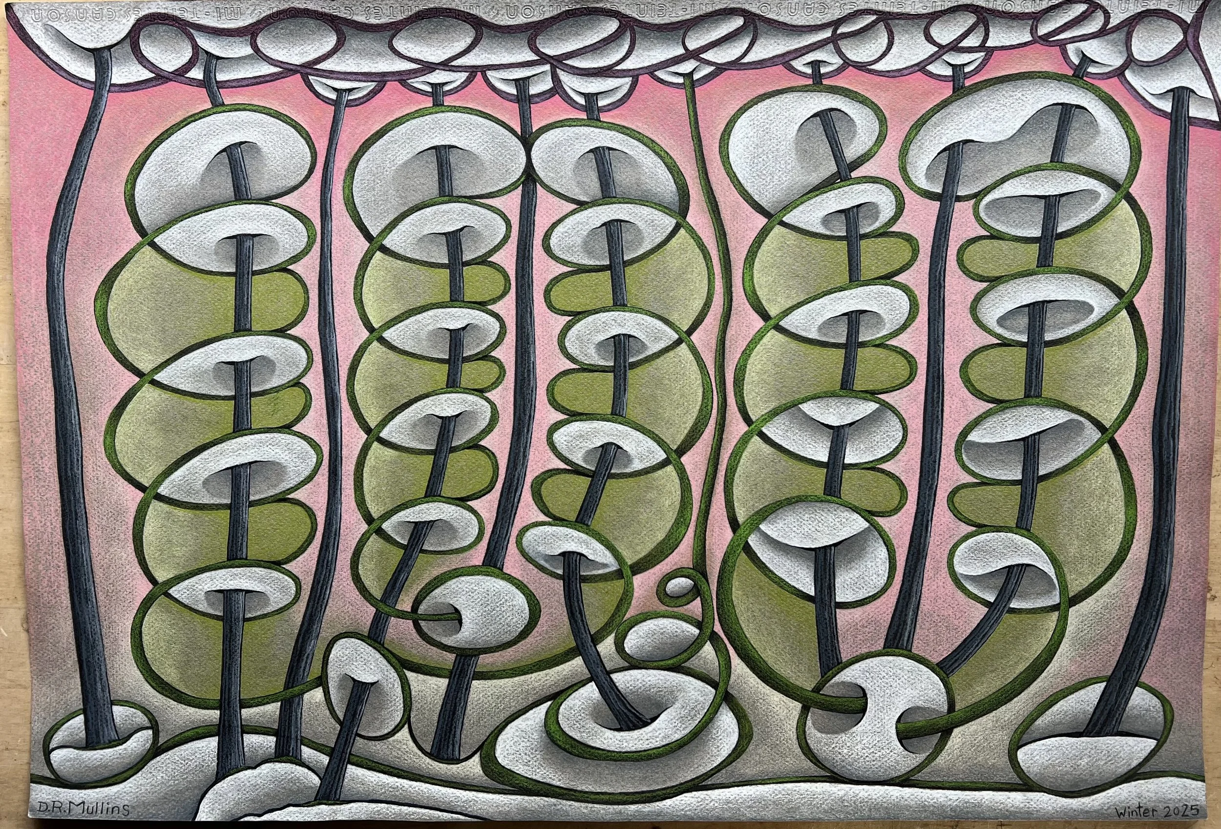 WINTER GROWTH
ink and colored pencil
33"x25"         2025