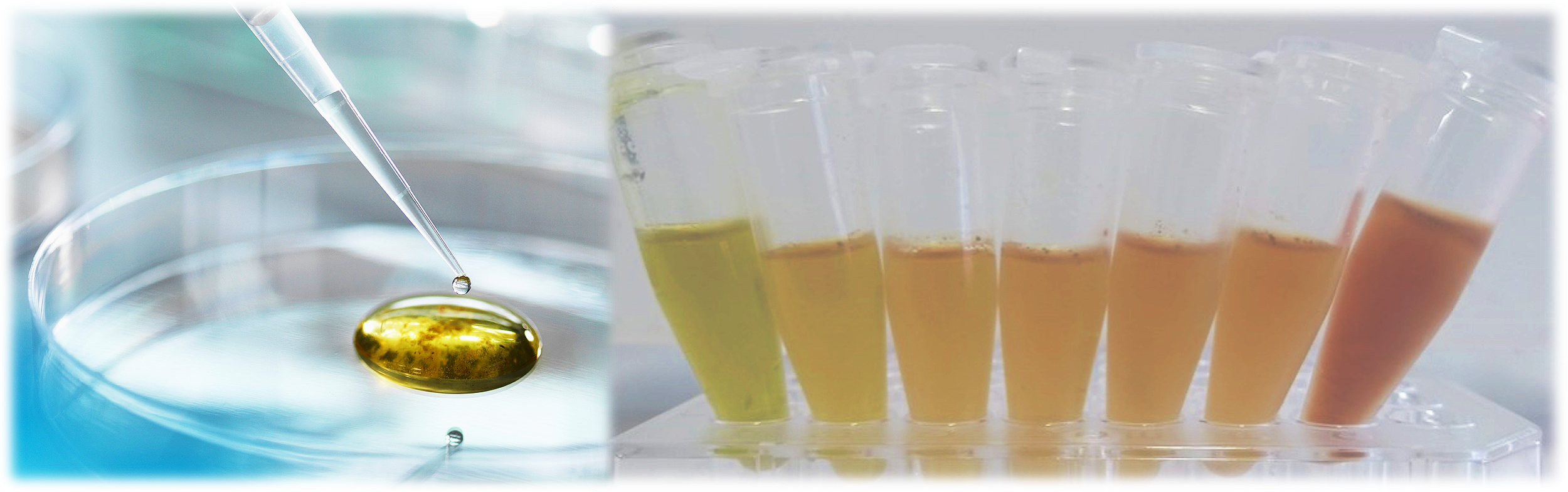 Imagem mesclando uma pipeta com líquido e um rack com microtubos contendo líquidos coloridos em tons de verde, amarelo, laranja e vermelho, resultados de extrações sólido-líquido