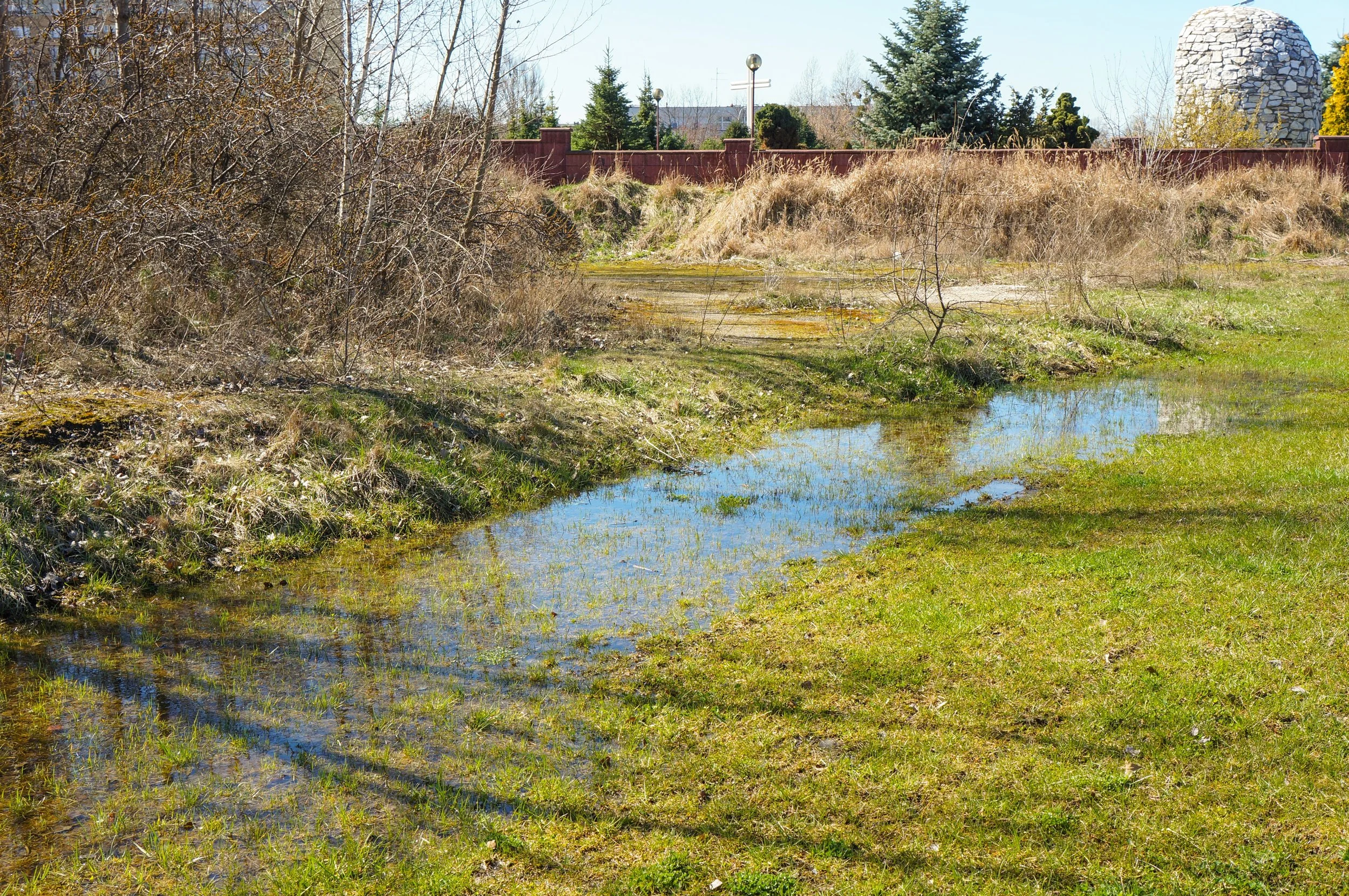 Does Your Yard Have a Drainage Problem? Here's How to Know (and Fix It)