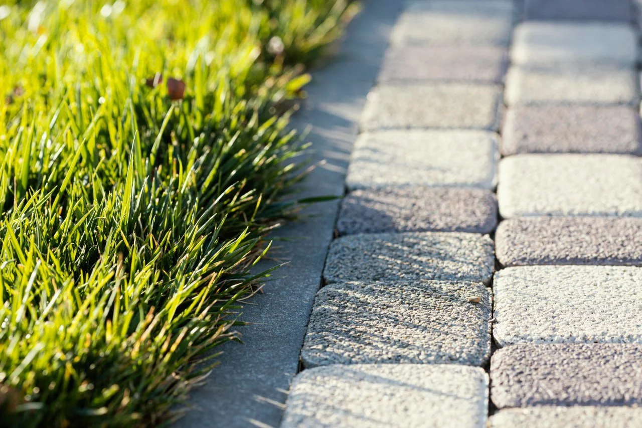 Close-up view of a stone pathway with grass on the side, sunny outdoor setting.