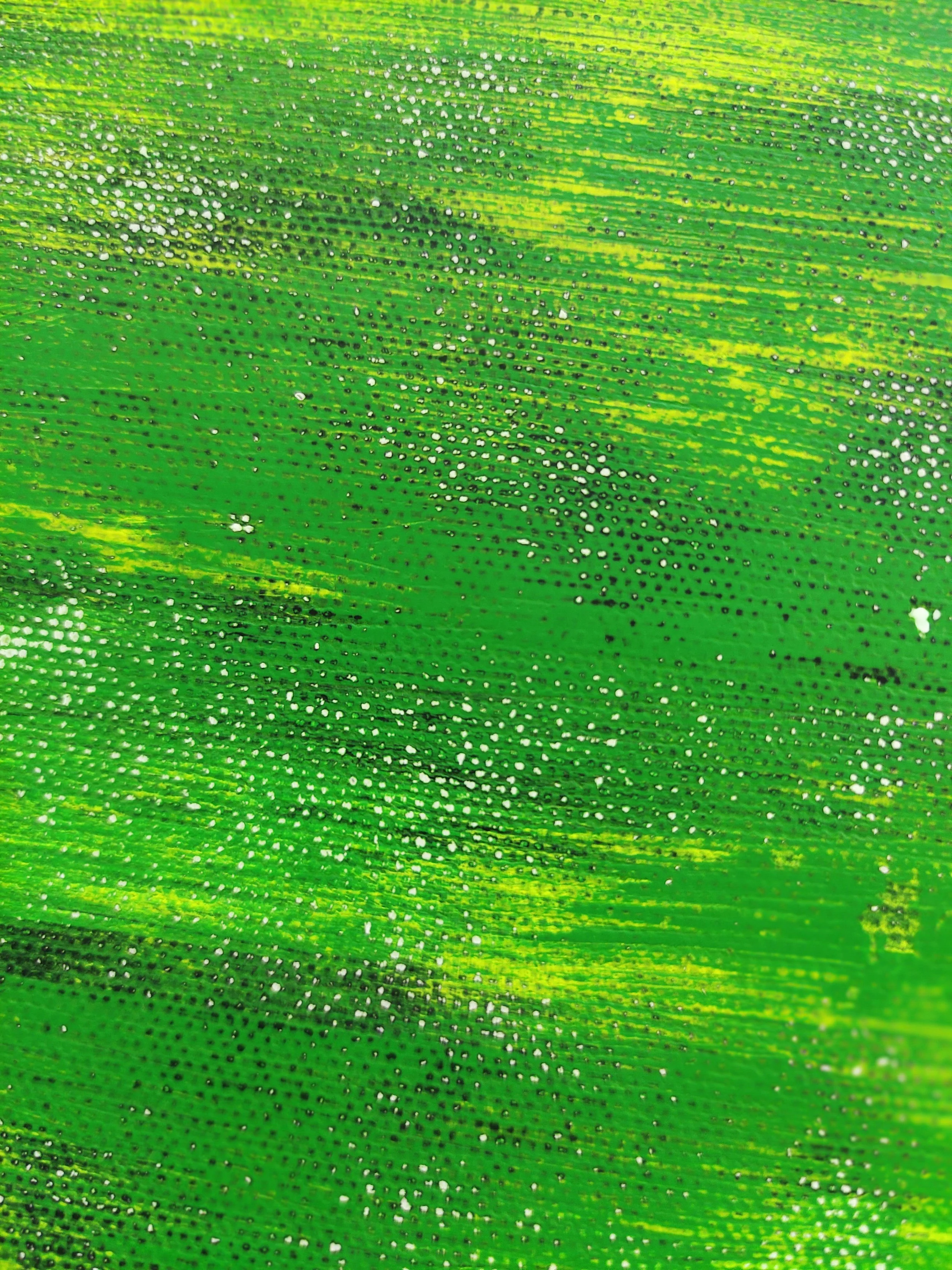 IMG_20260224_181424 copie.jpg