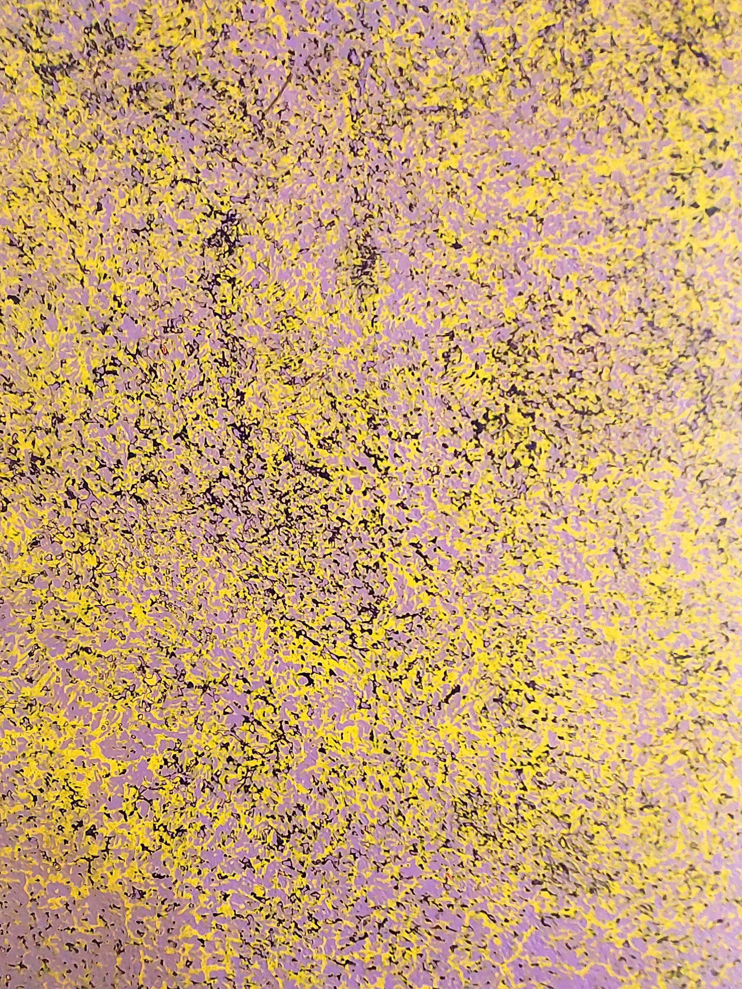 IMG_20260226_140029 copie.jpg