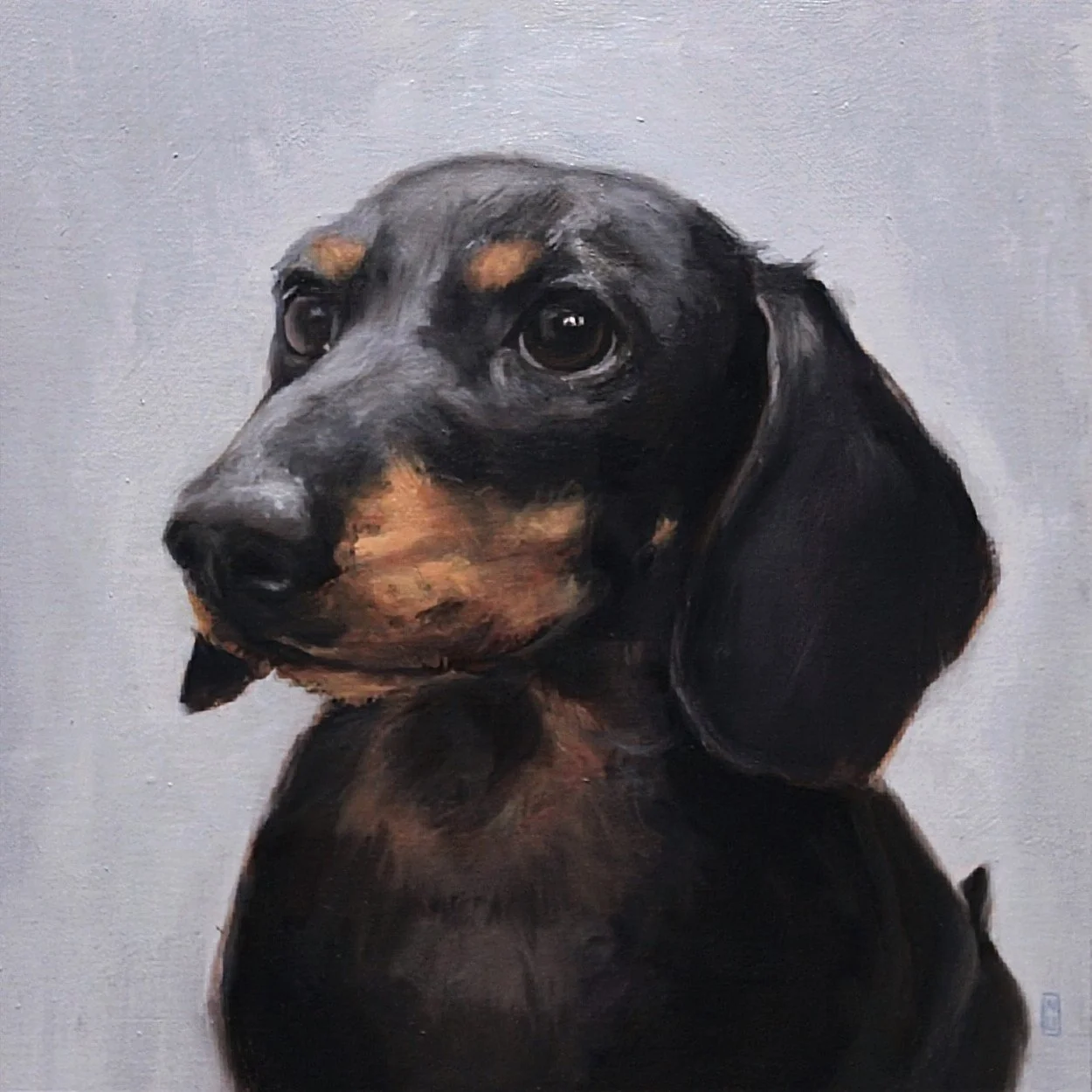 Portrait of a black and tan dachshund dog with a neutral background.