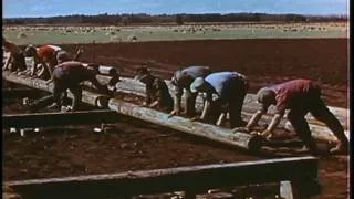 22. Glenbow Youtube