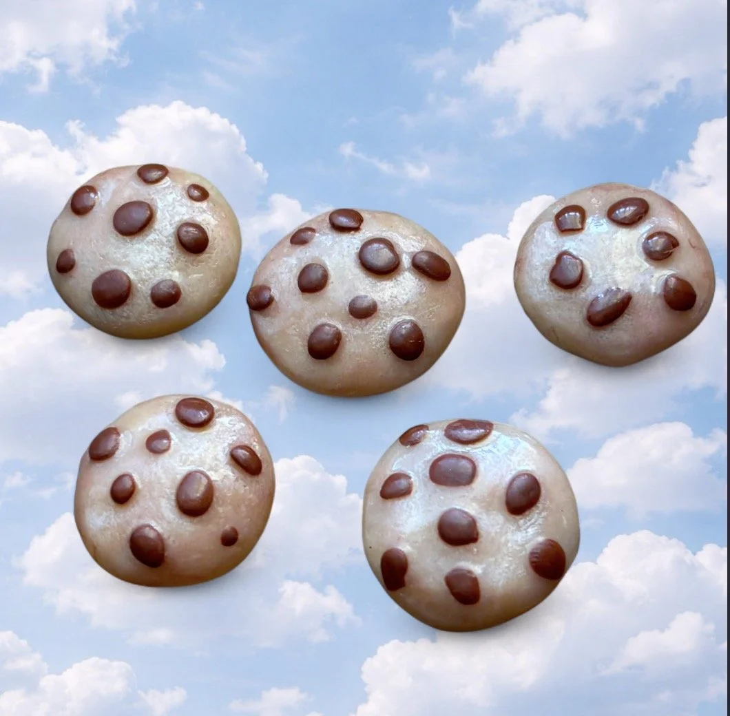 Set Of 5 Cookie Magnets