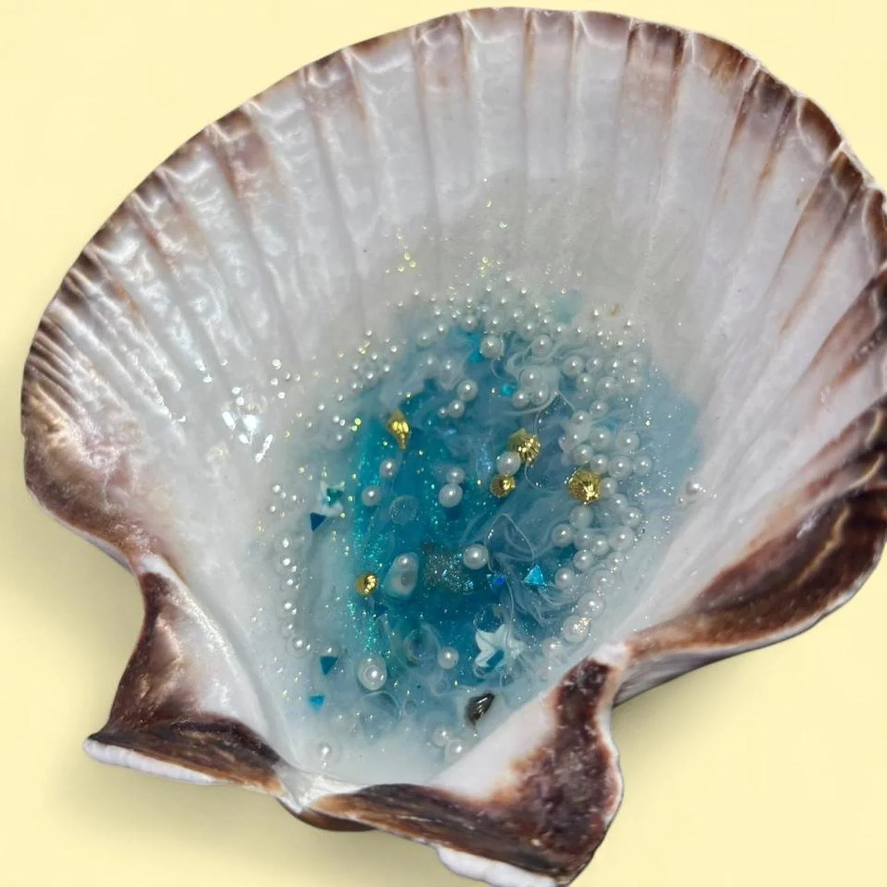 Pearls and Swirls Seashell Trinket Dish
