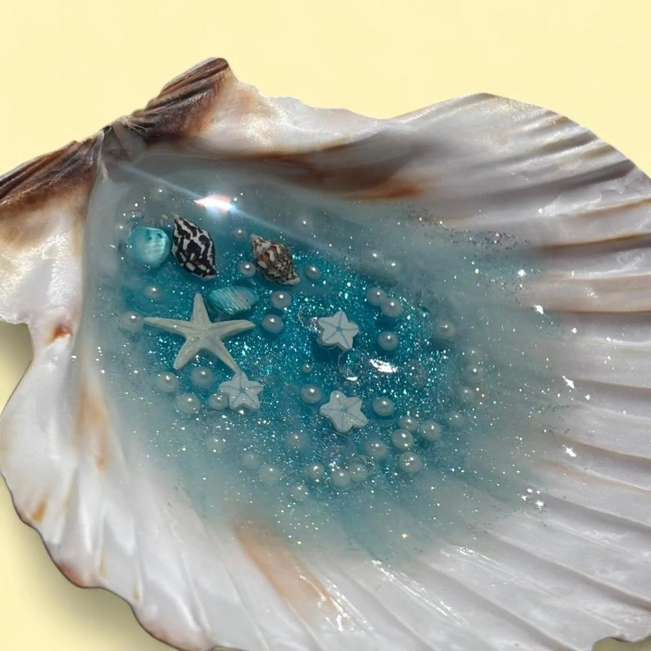 Hibiscus Glow Seashell Trinket Dish