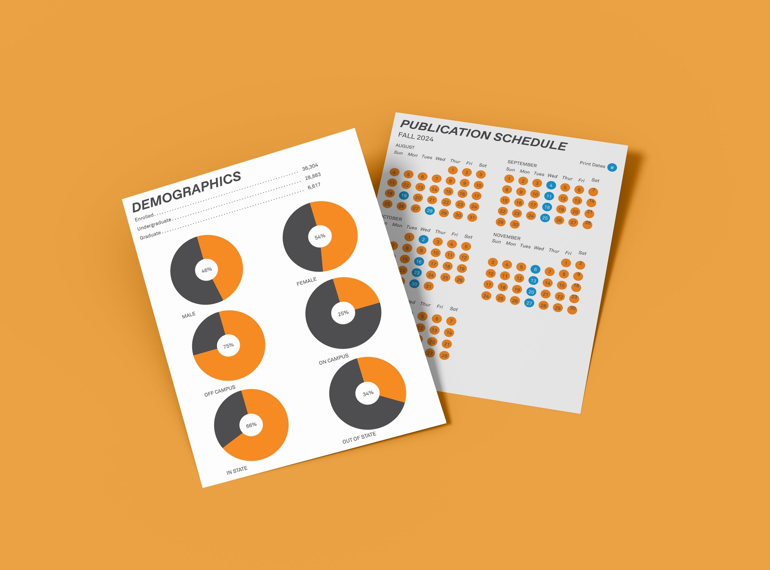 Daily Beacon Rate Card