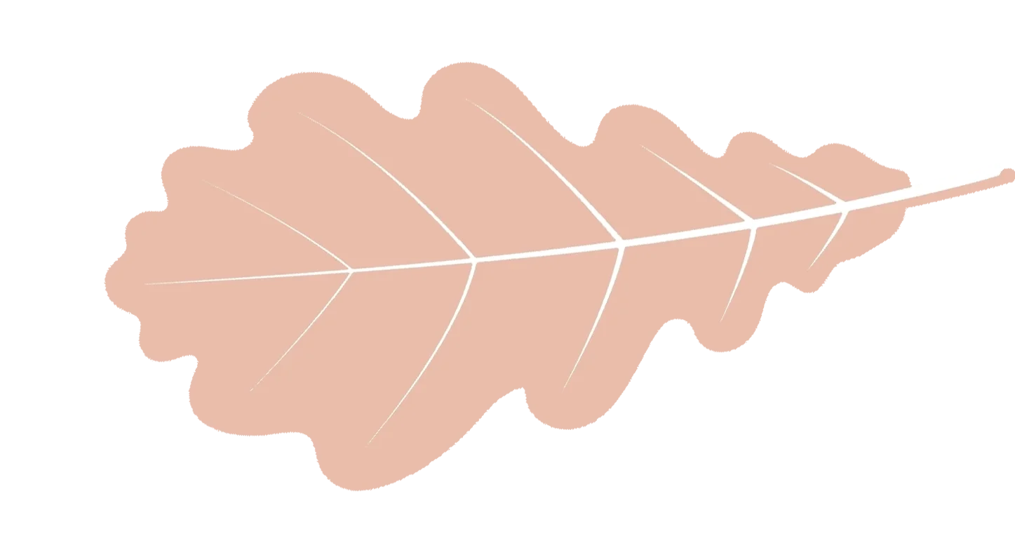A pale pink leaf with a central white vein and smaller white veins branching out.