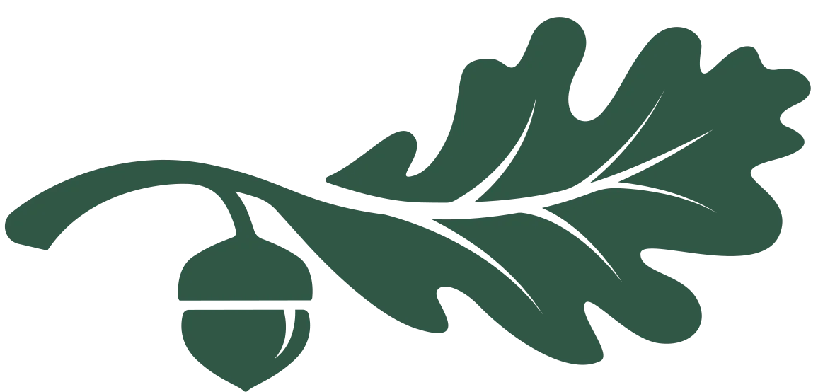 Illustration of an oak leaf with an acorn attached.