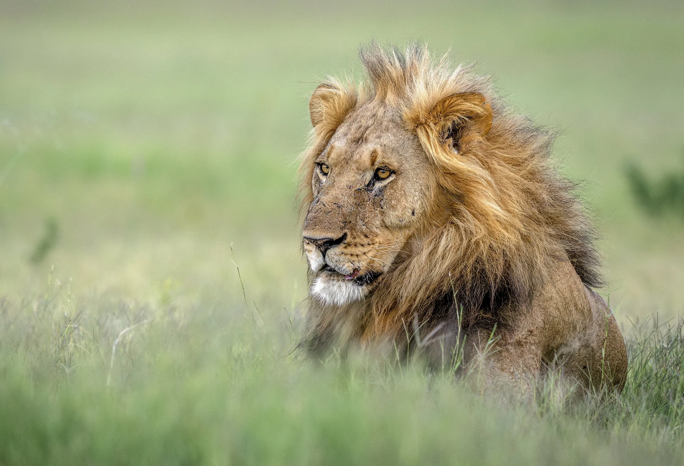 DSC_8129blog-Avec accentuation-NR.jpg