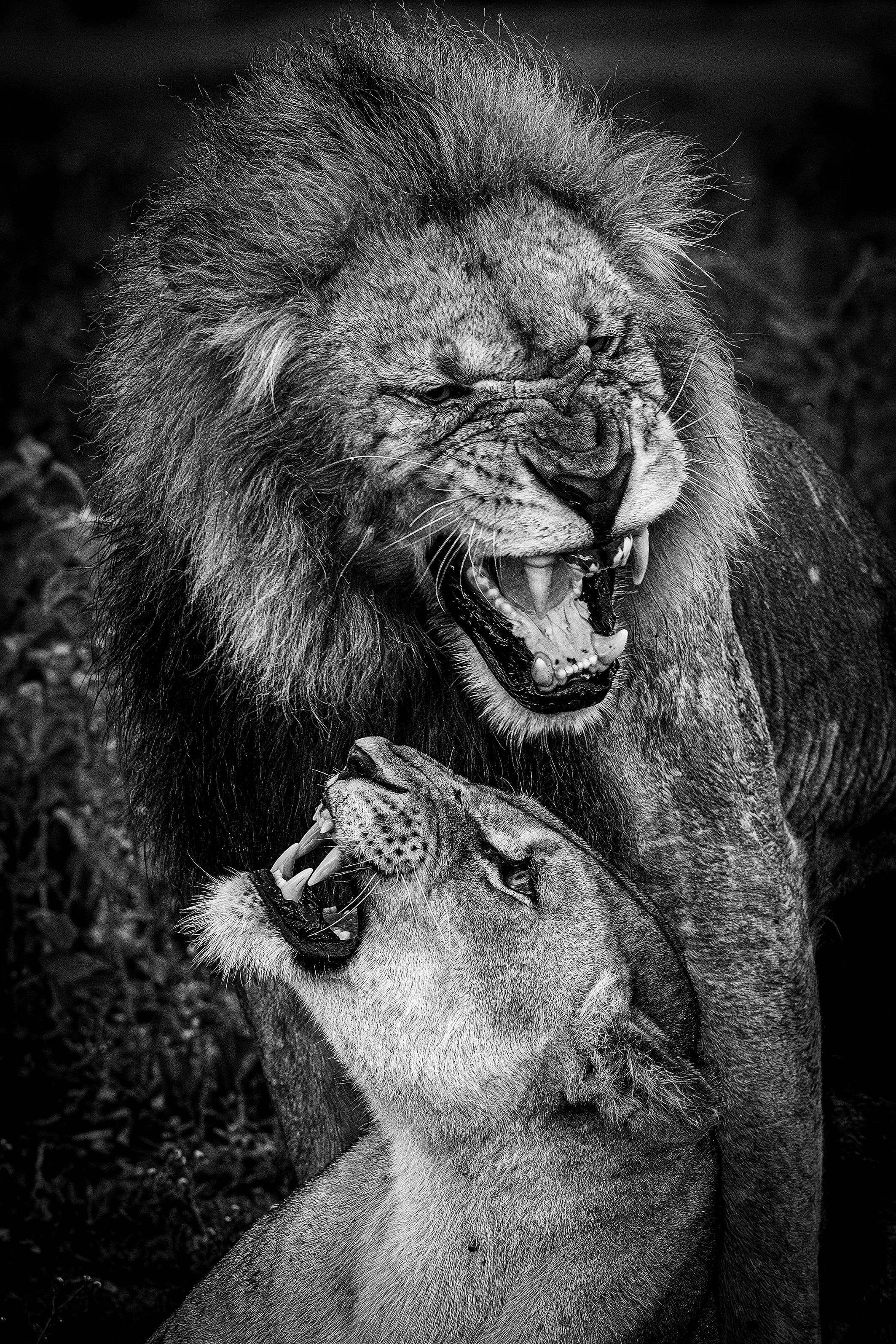 DSC_9403siteweb-Avec accentuation-NR.jpg