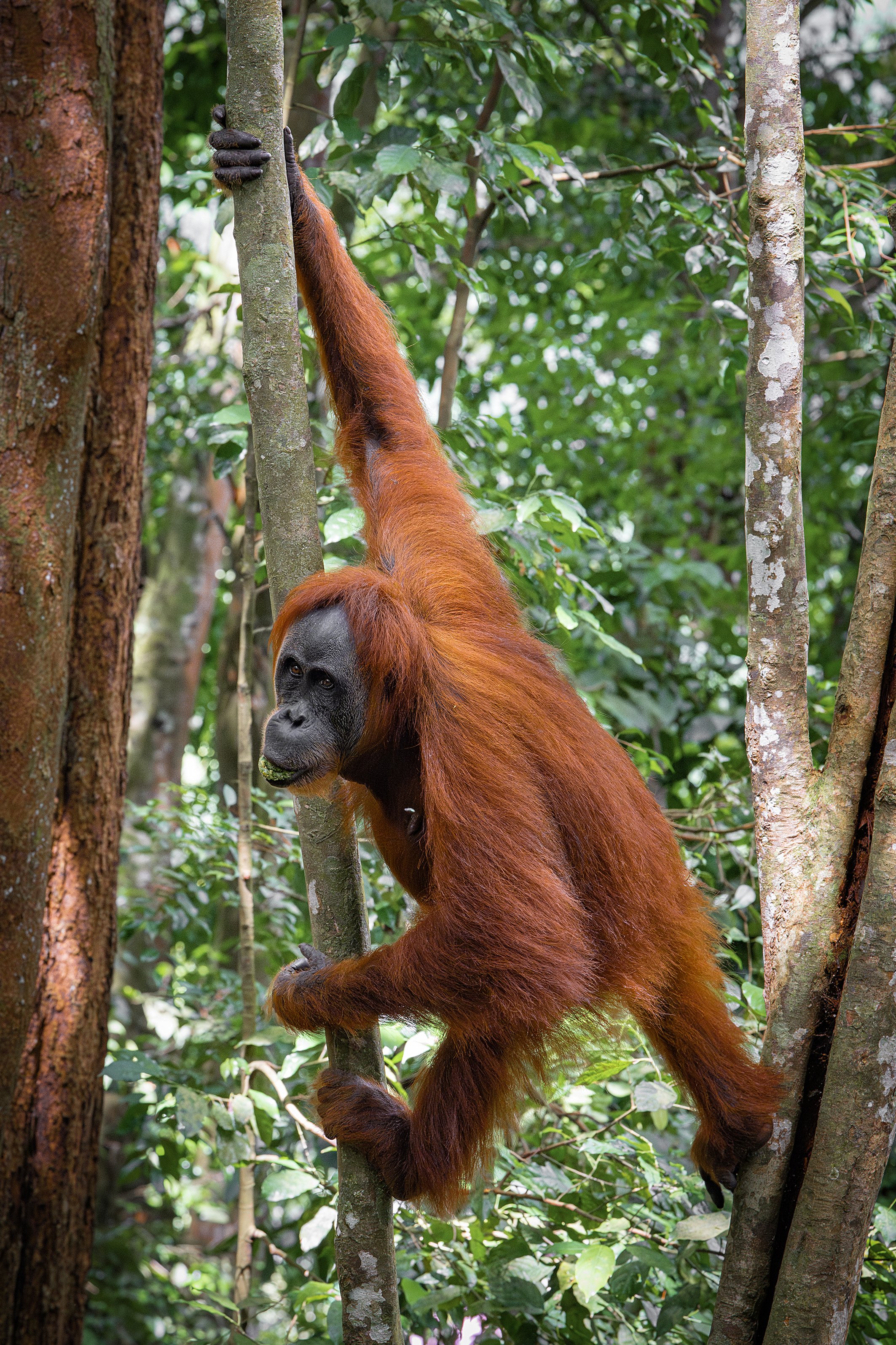 DSC_4859blog-Avec accentuation-NR.jpg