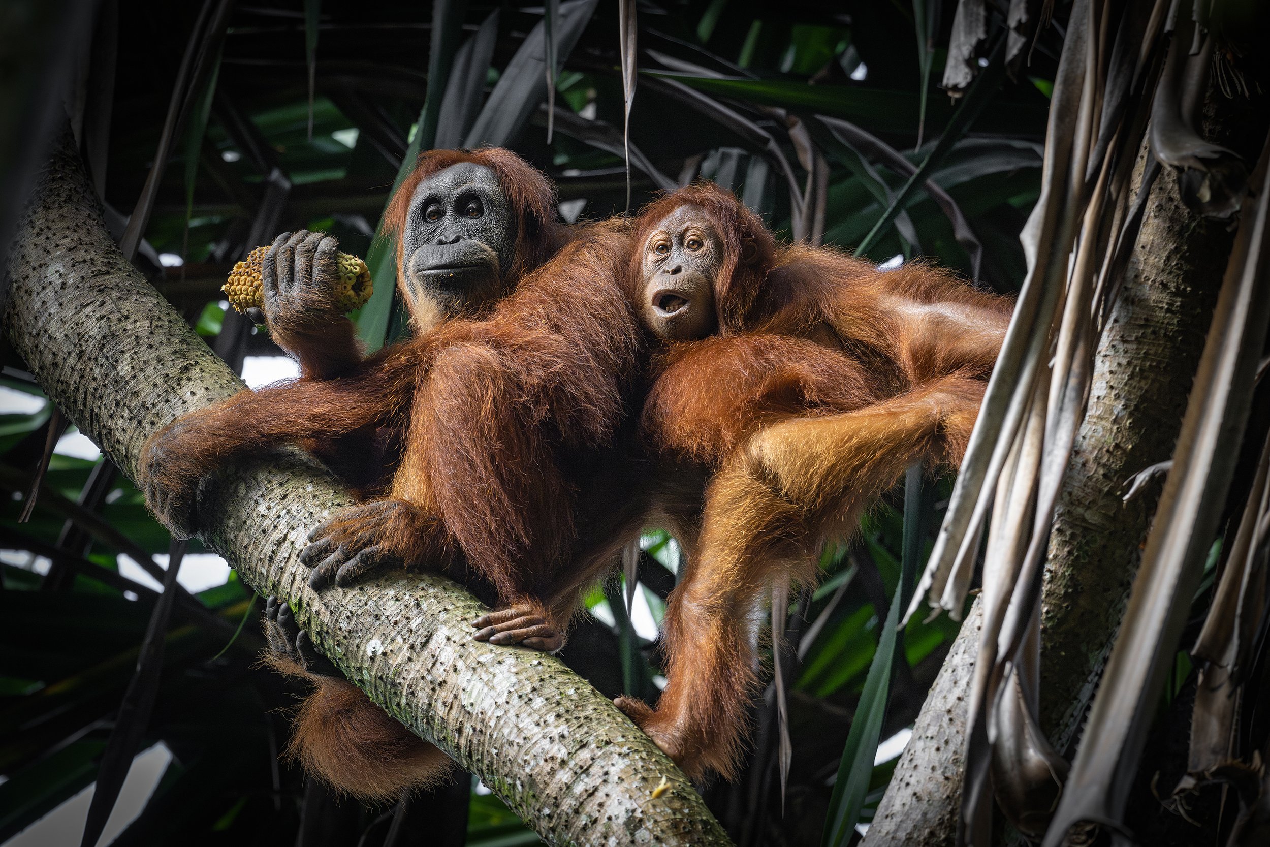 DSC_7512blog-Avec accentuation-NR.jpg