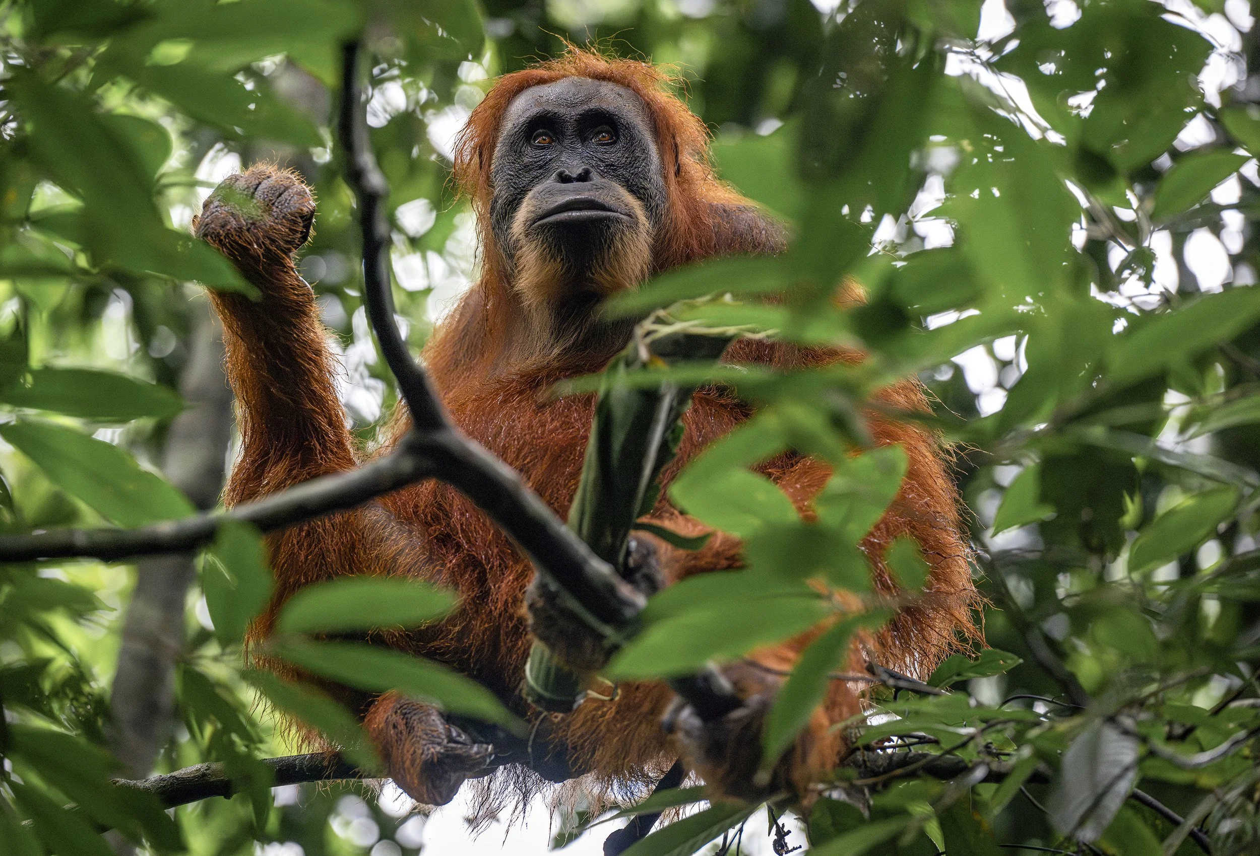 DSC_7228blog-Avec accentuation-NR.jpg