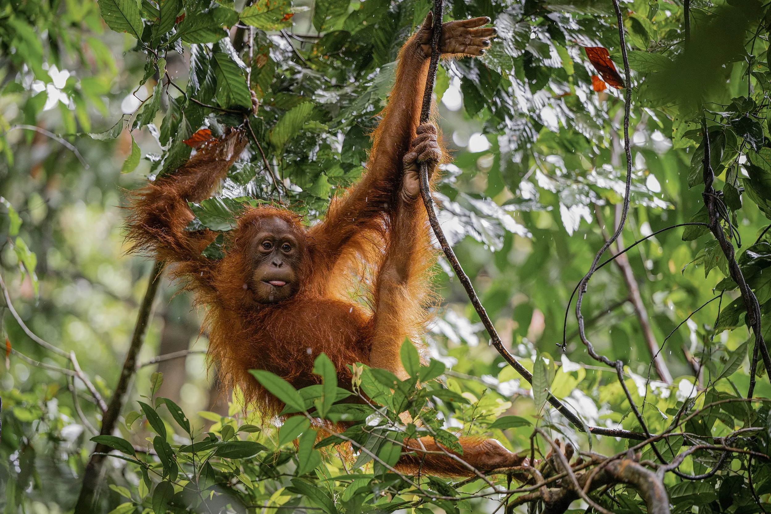 DSC_6976blog-Avec accentuation-NR.jpg