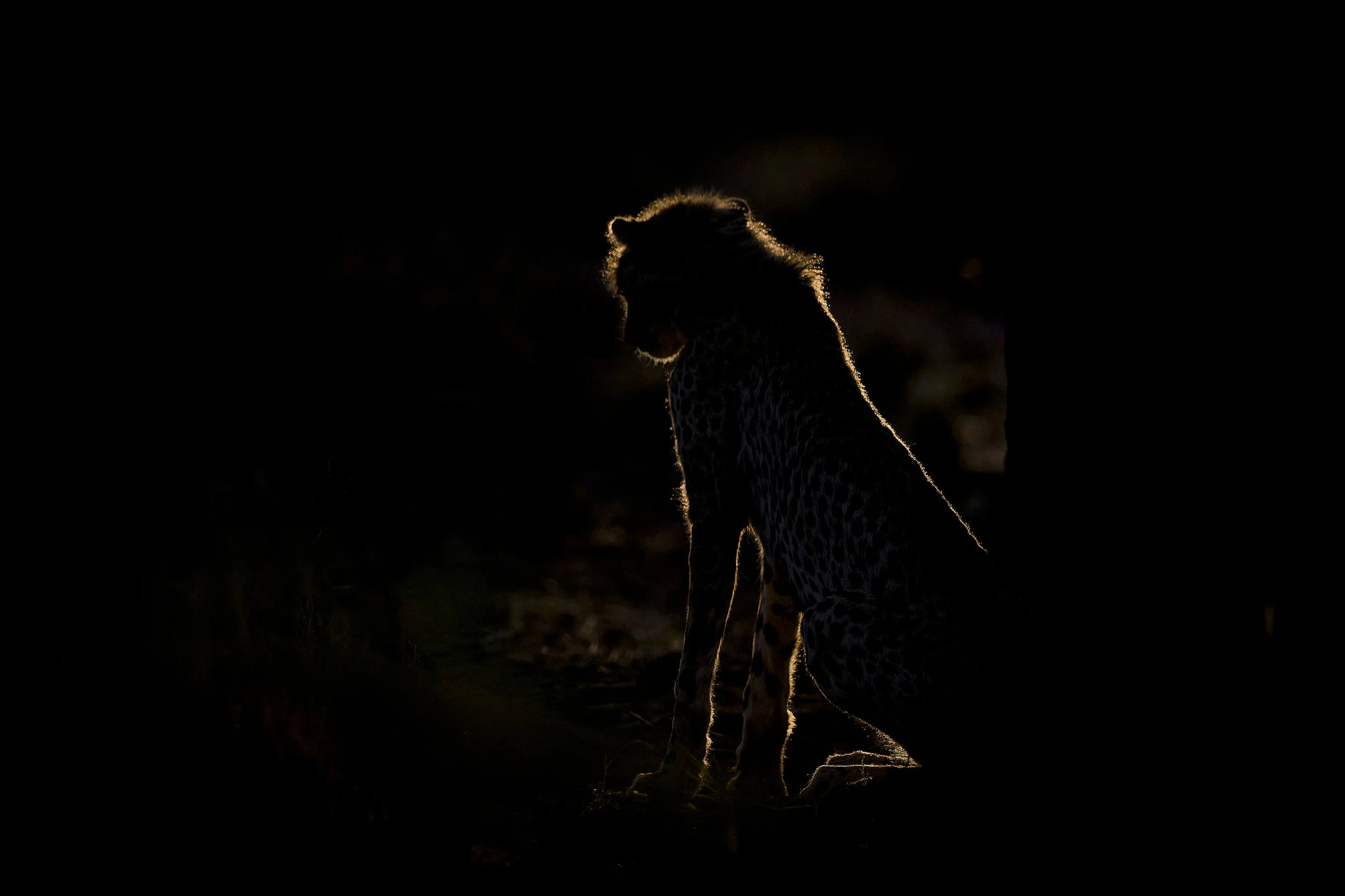 Welgevonden South Africa 2019