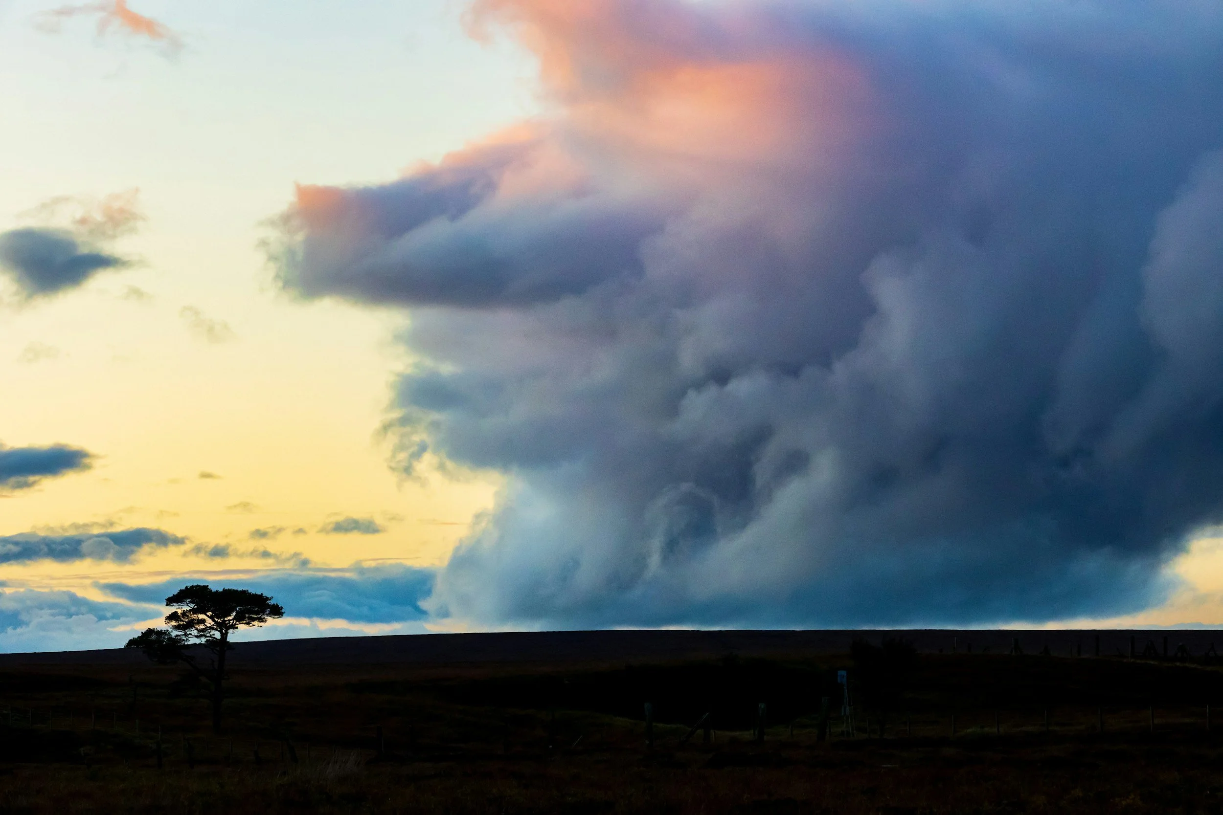 Lone tree silhouetted against a dark, stormy sky at sunset, symbolizing uncertainty facing federal employees who are at risk of transitioning to Schedule Policy/Career (Schedule P/C).