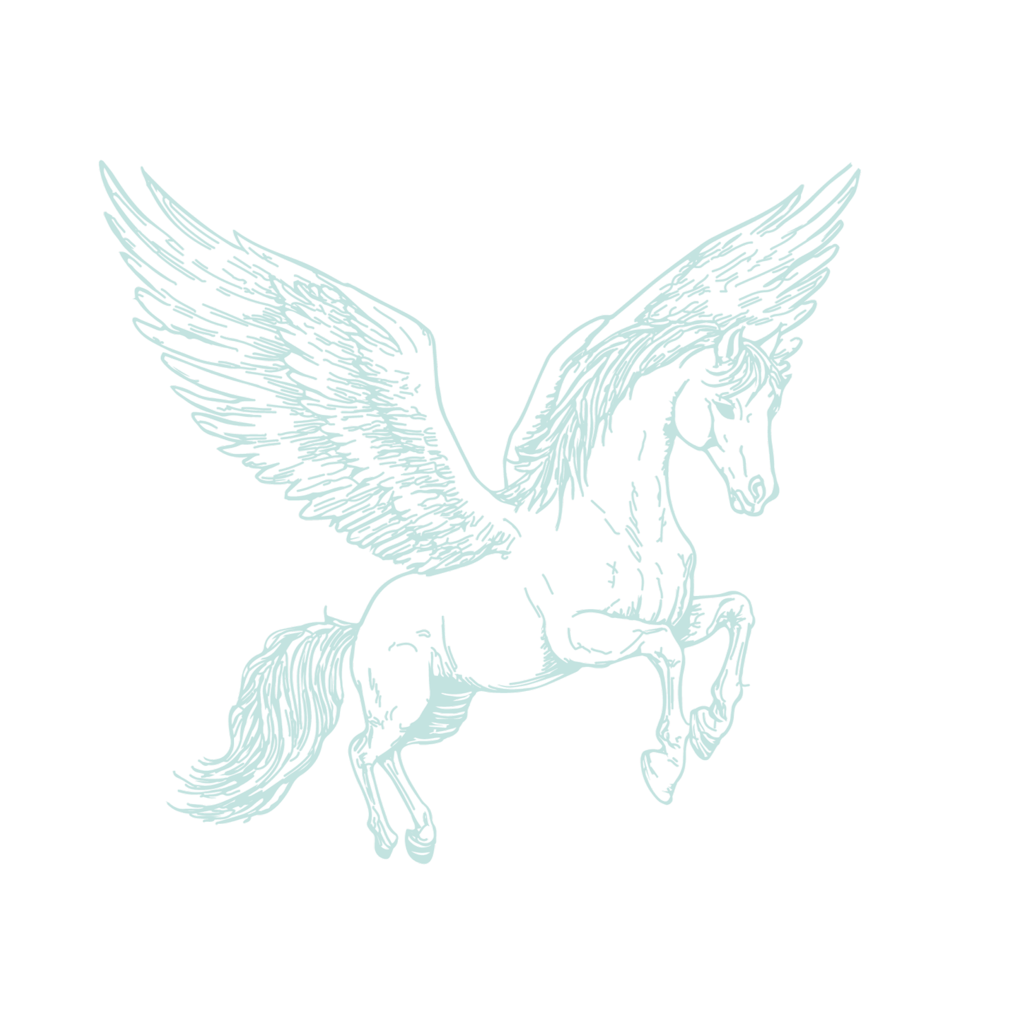 Illustration of a Pegasus with wings spread, depicted with light blue lines on black background.