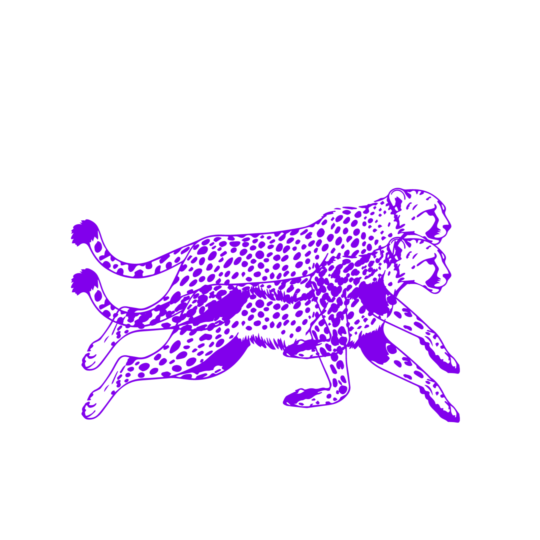 Stylized artwork of two overlapping purple leopards with spotted patterns on a black background.