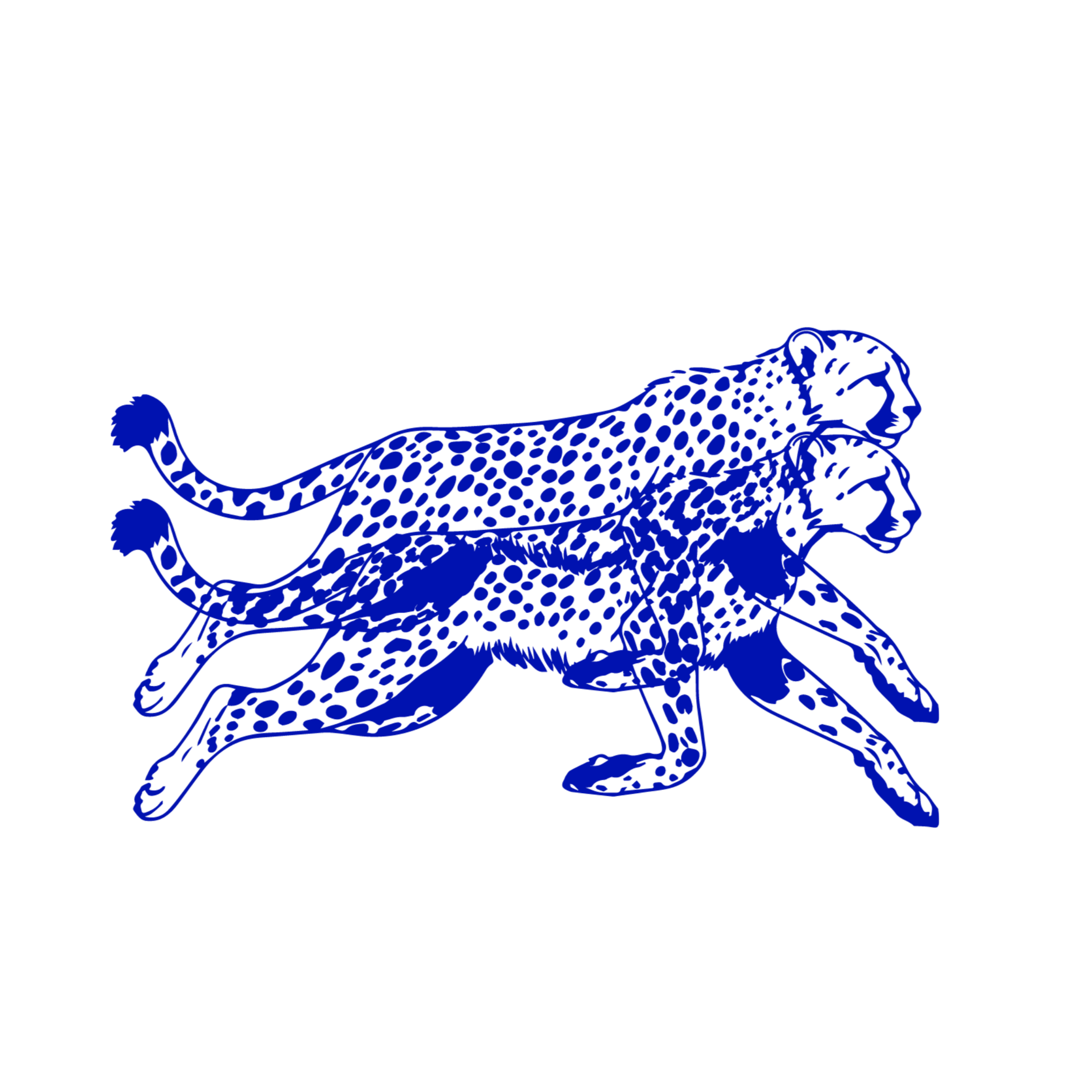 Blue illustration of two overlapping jaguars, one walking and the other running, on a black background.