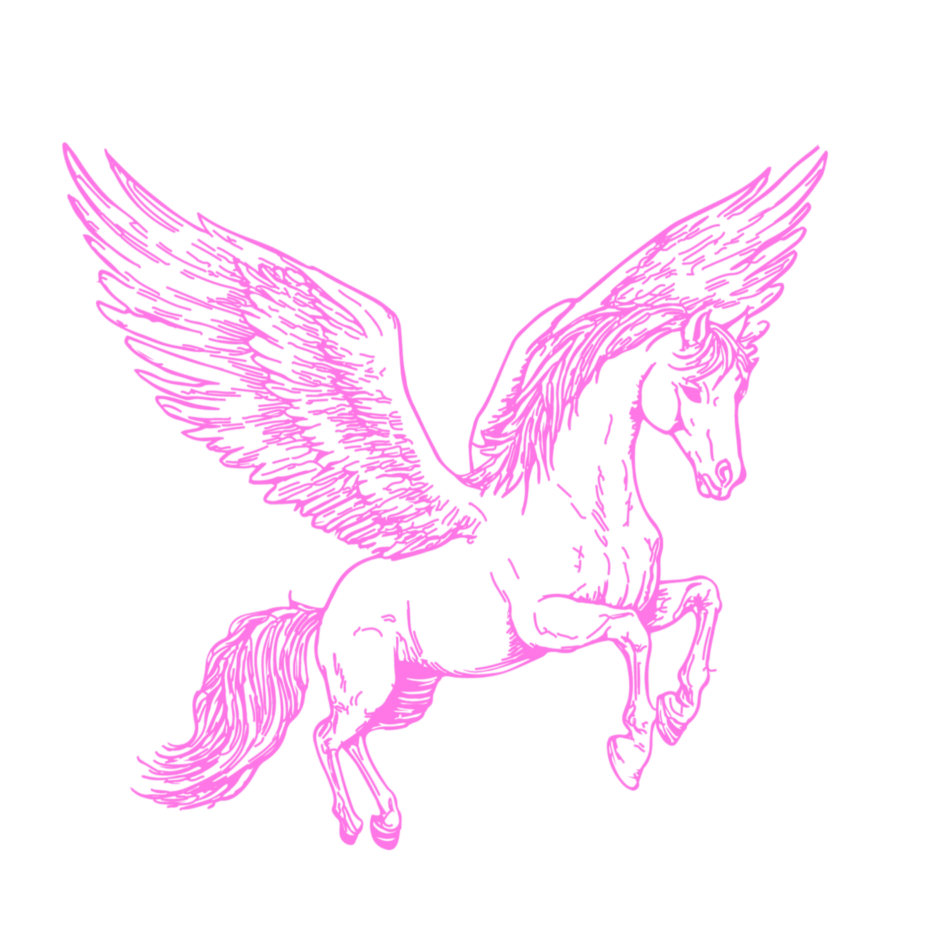Outline drawing of a pink Pegasus with wings spread wide, set against a black background.