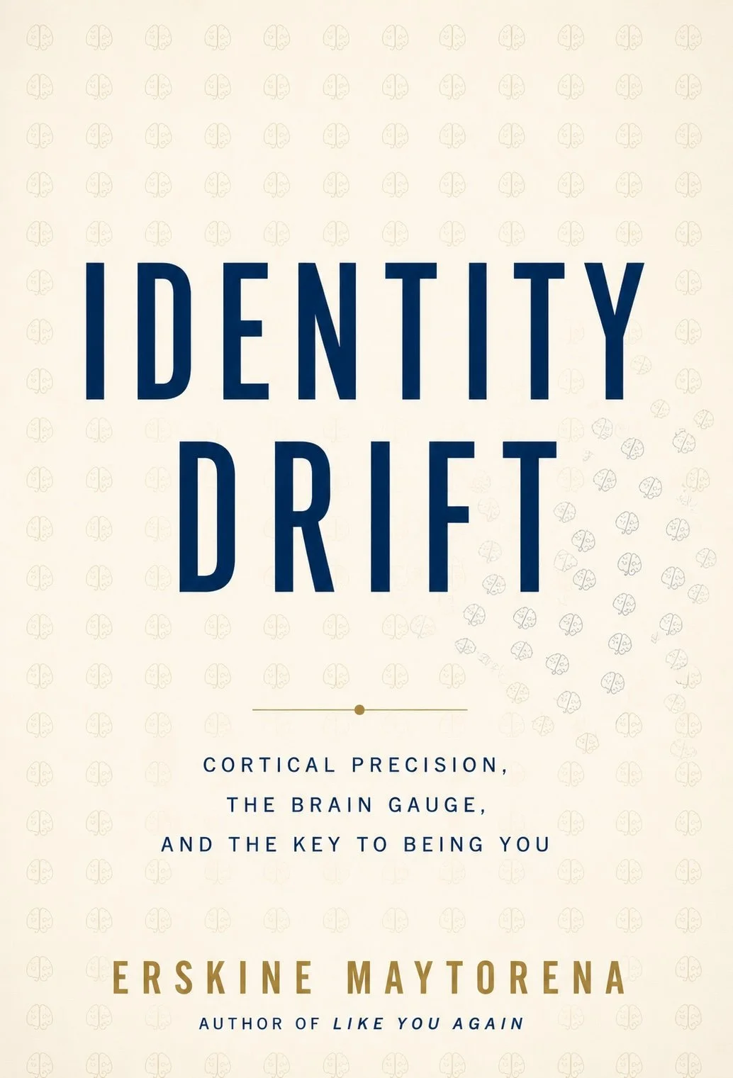 Identity Drift Ebook